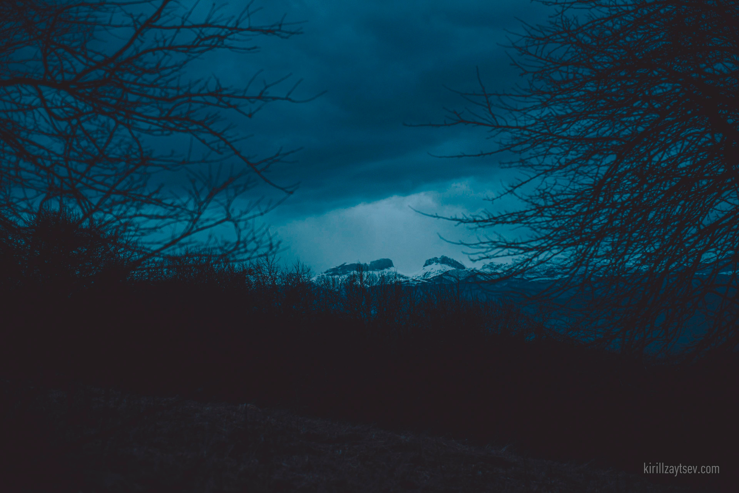 Жизнь. Профессиональный фотограф Кирилл Зайцев