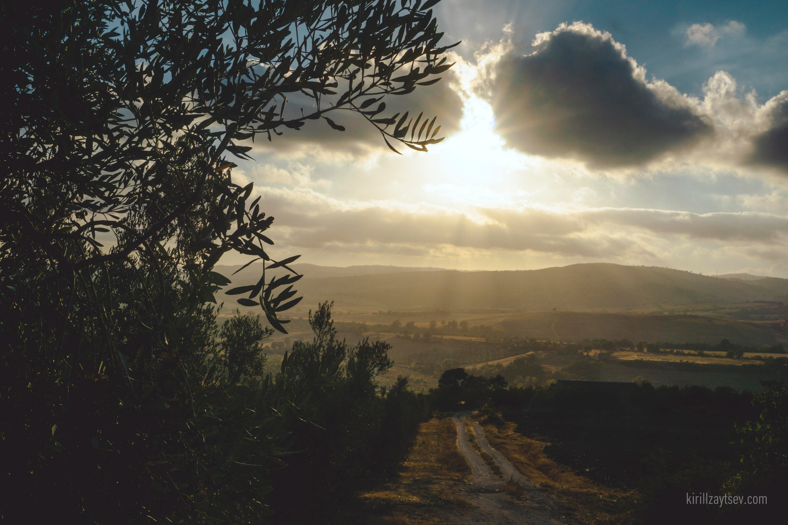 Жизнь. Профессиональный фотограф Кирилл Зайцев