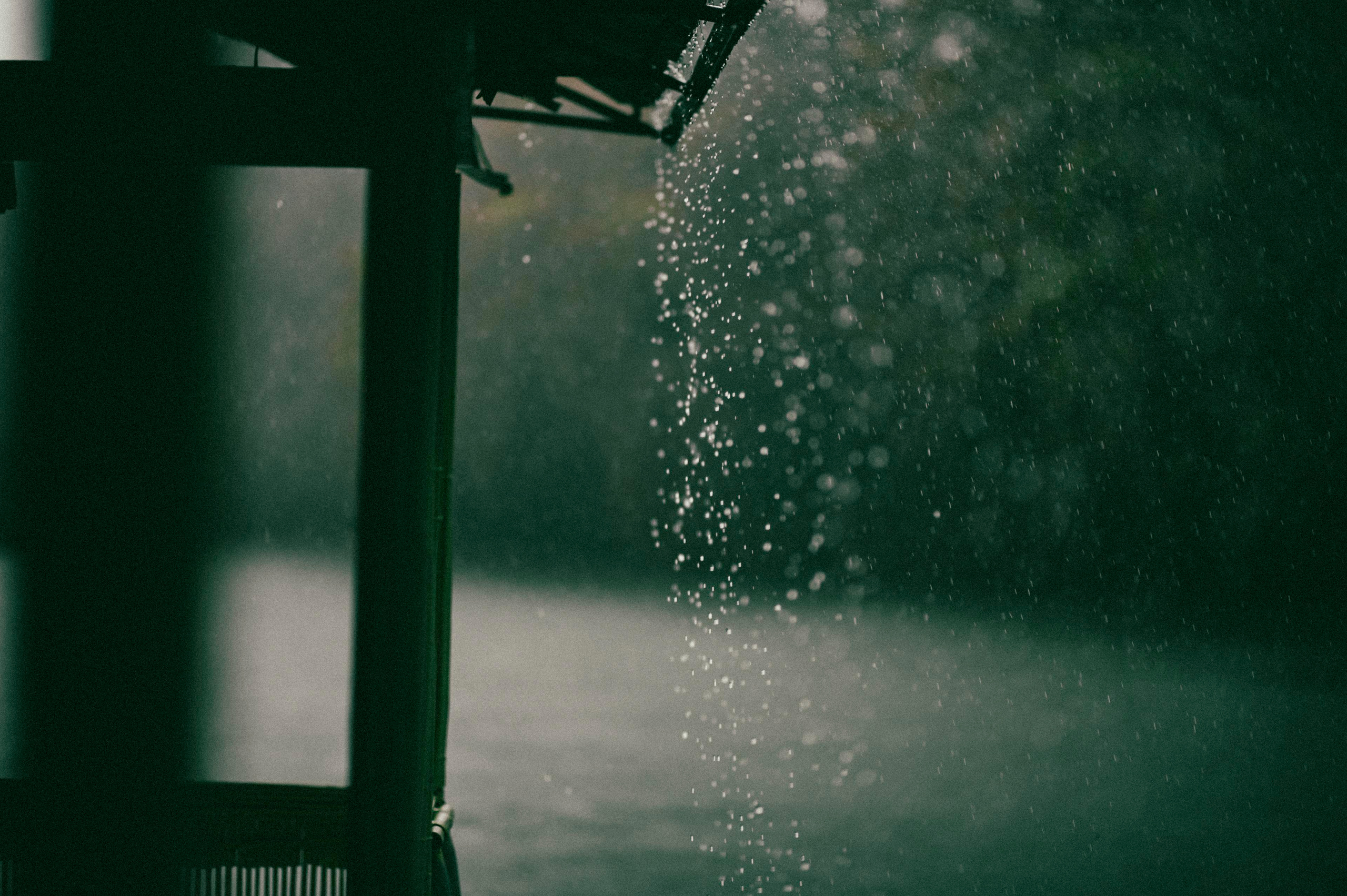 Жизнь. Профессиональный фотограф Кирилл Зайцев