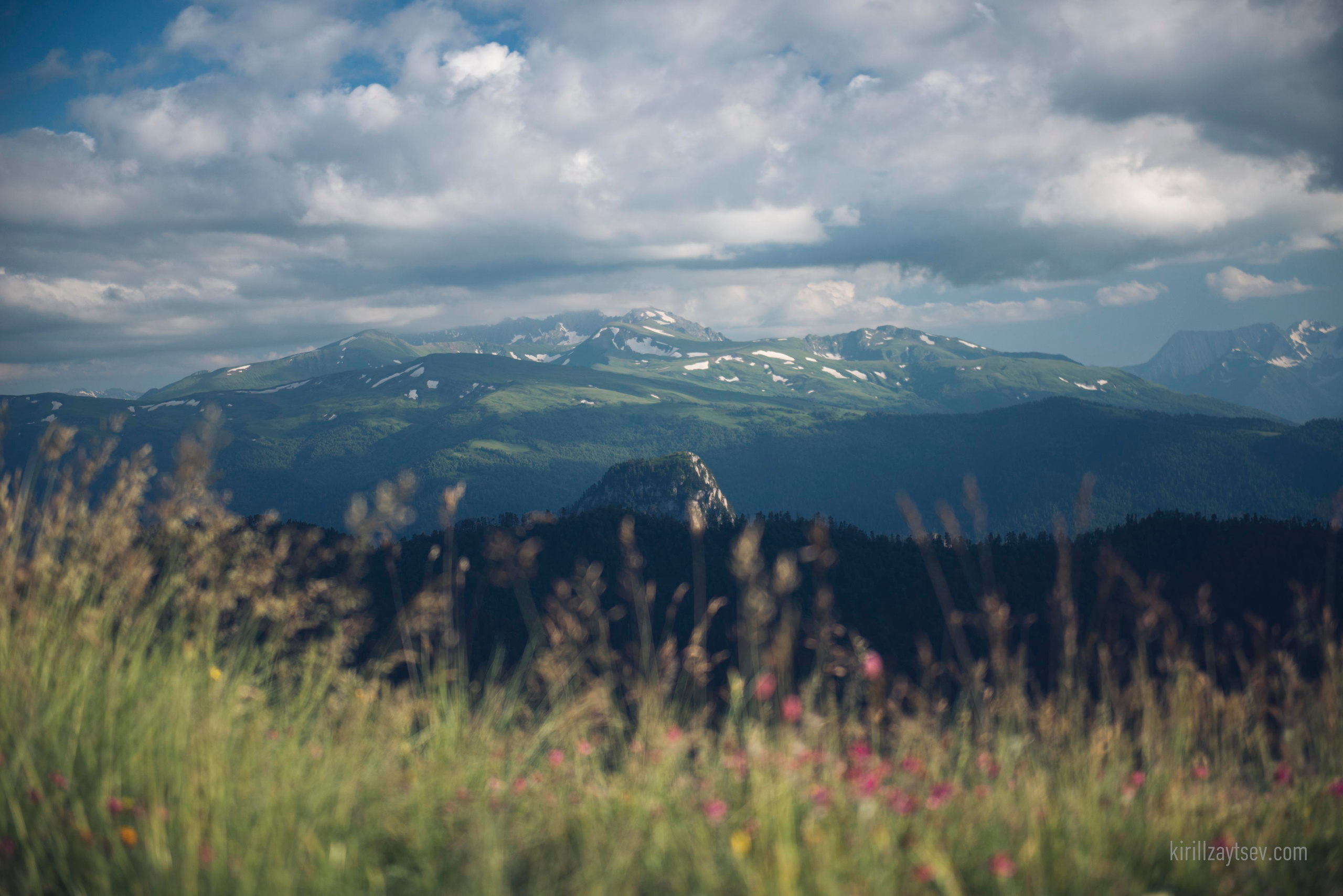 Жизнь. Профессиональный фотограф Кирилл Зайцев