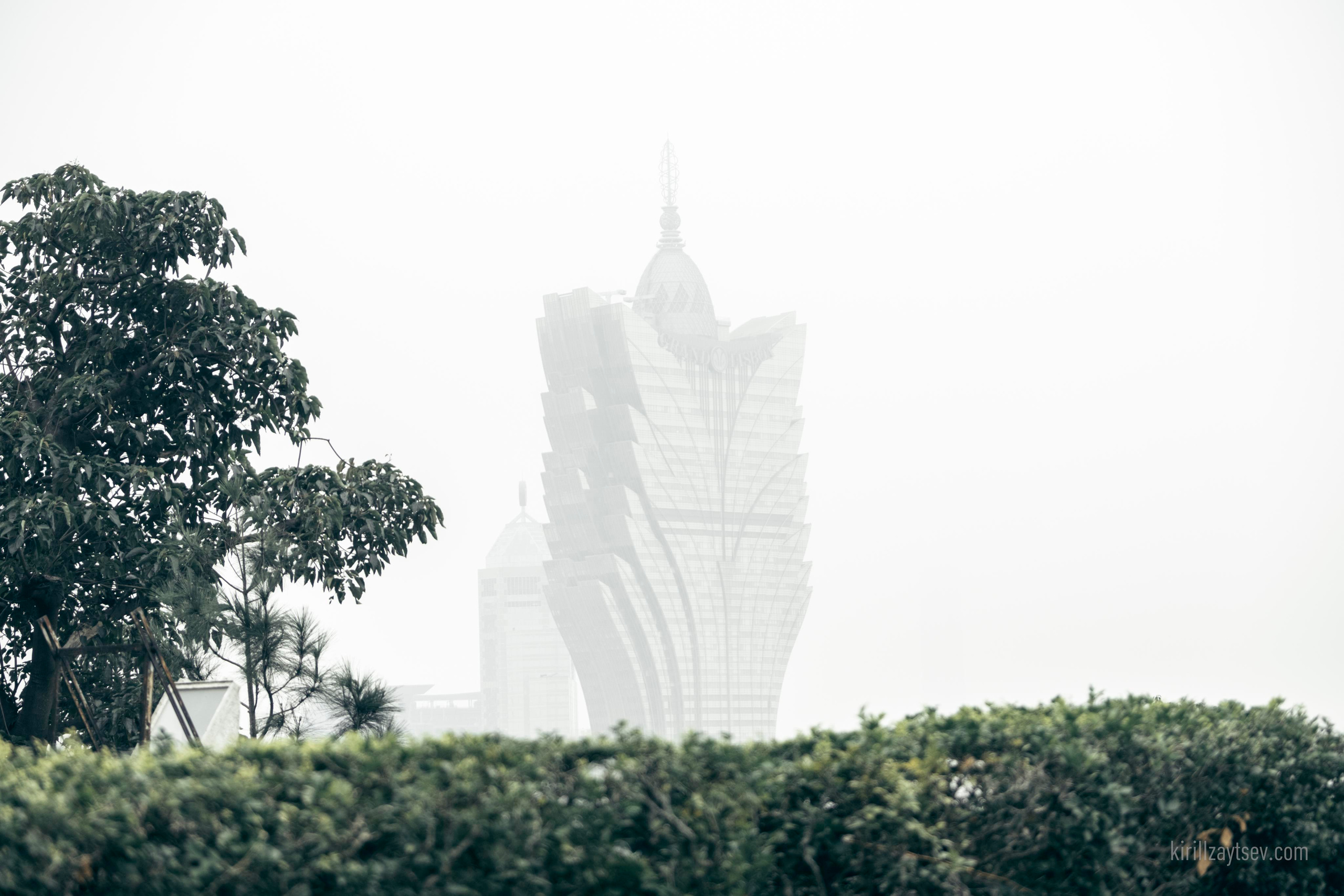 Жизнь. Профессиональный фотограф Кирилл Зайцев