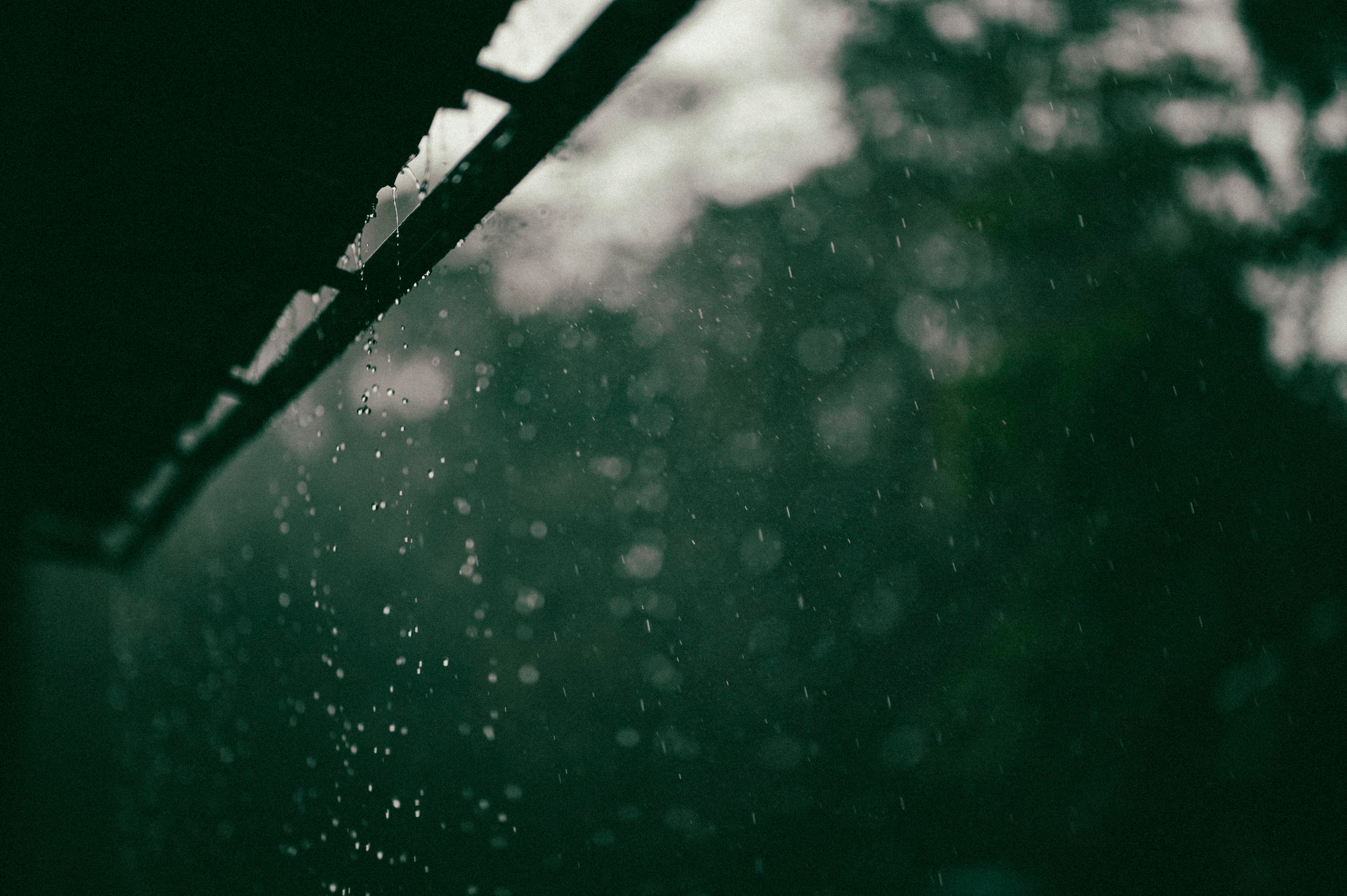 Жизнь. Профессиональный фотограф Кирилл Зайцев