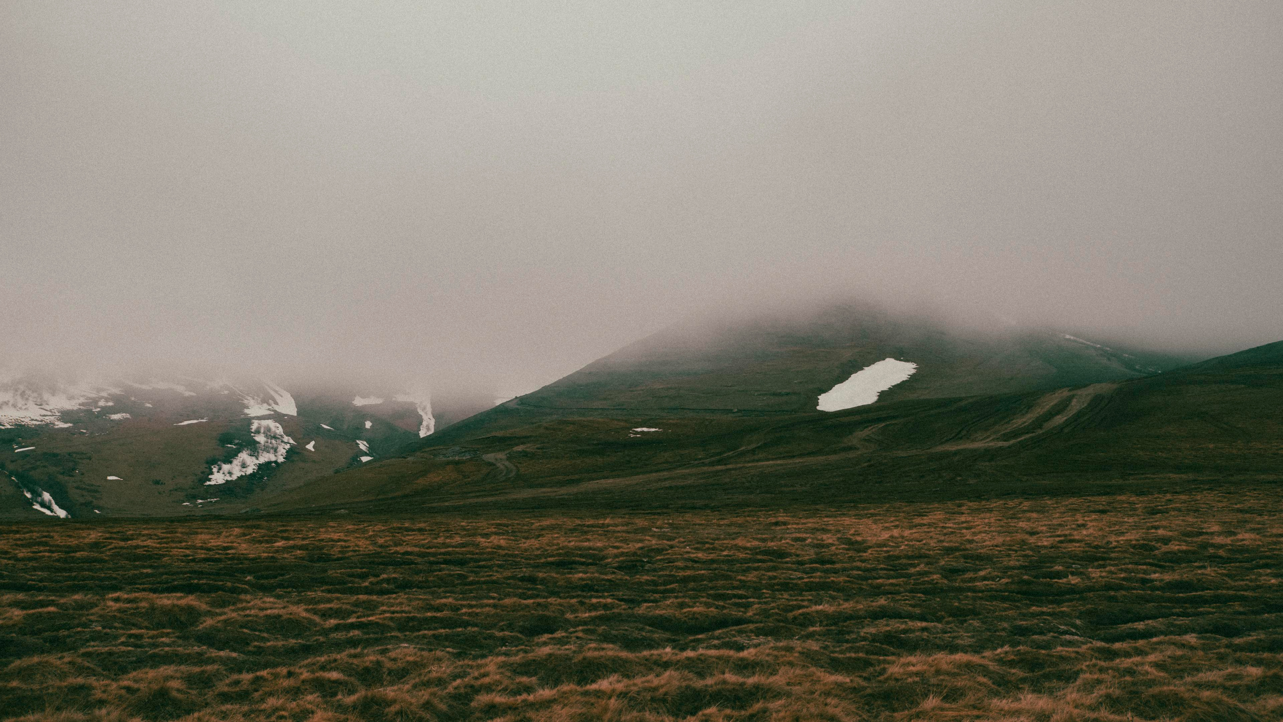 Жизнь. Профессиональный фотограф Кирилл Зайцев