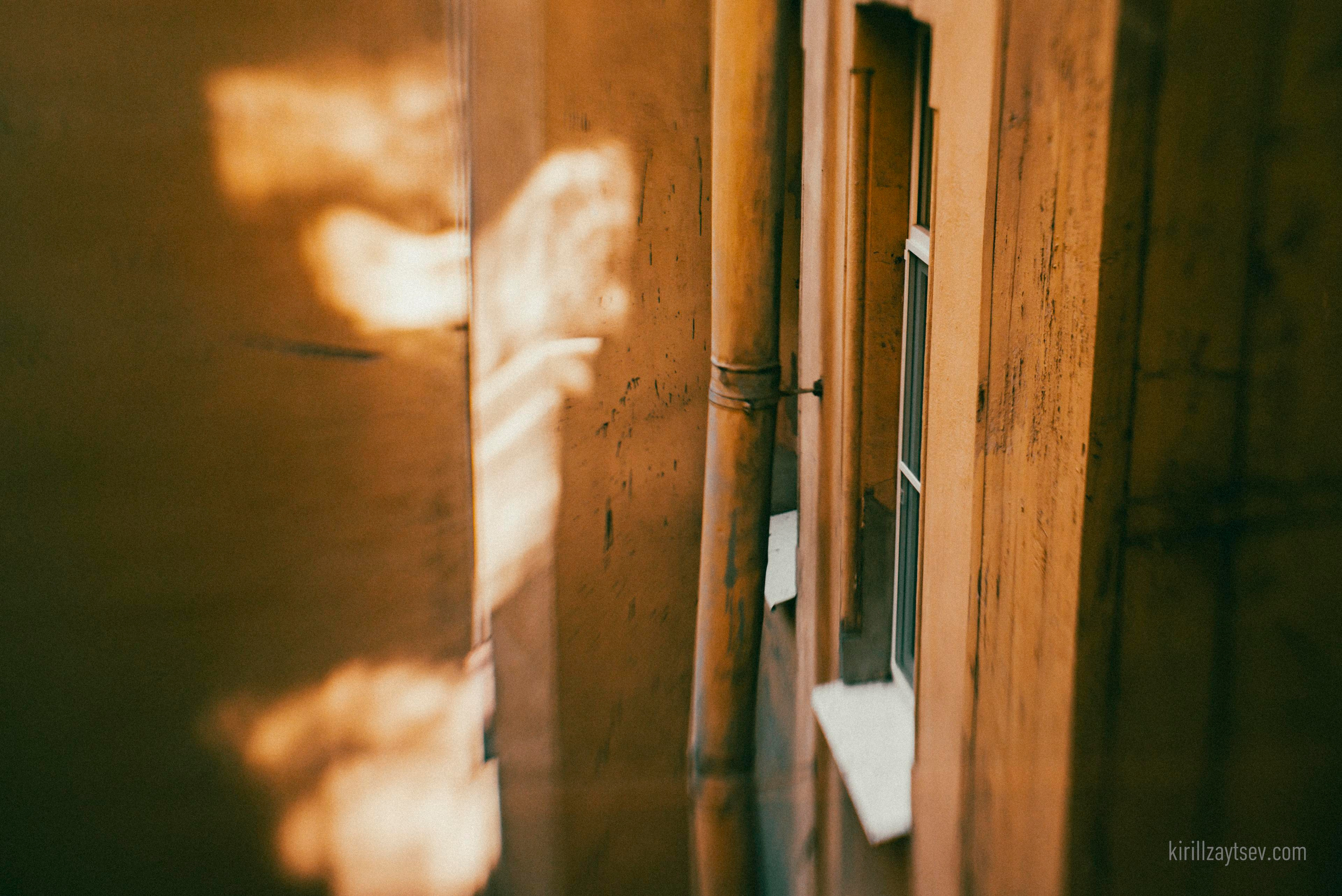 Жизнь. Профессиональный фотограф Кирилл Зайцев