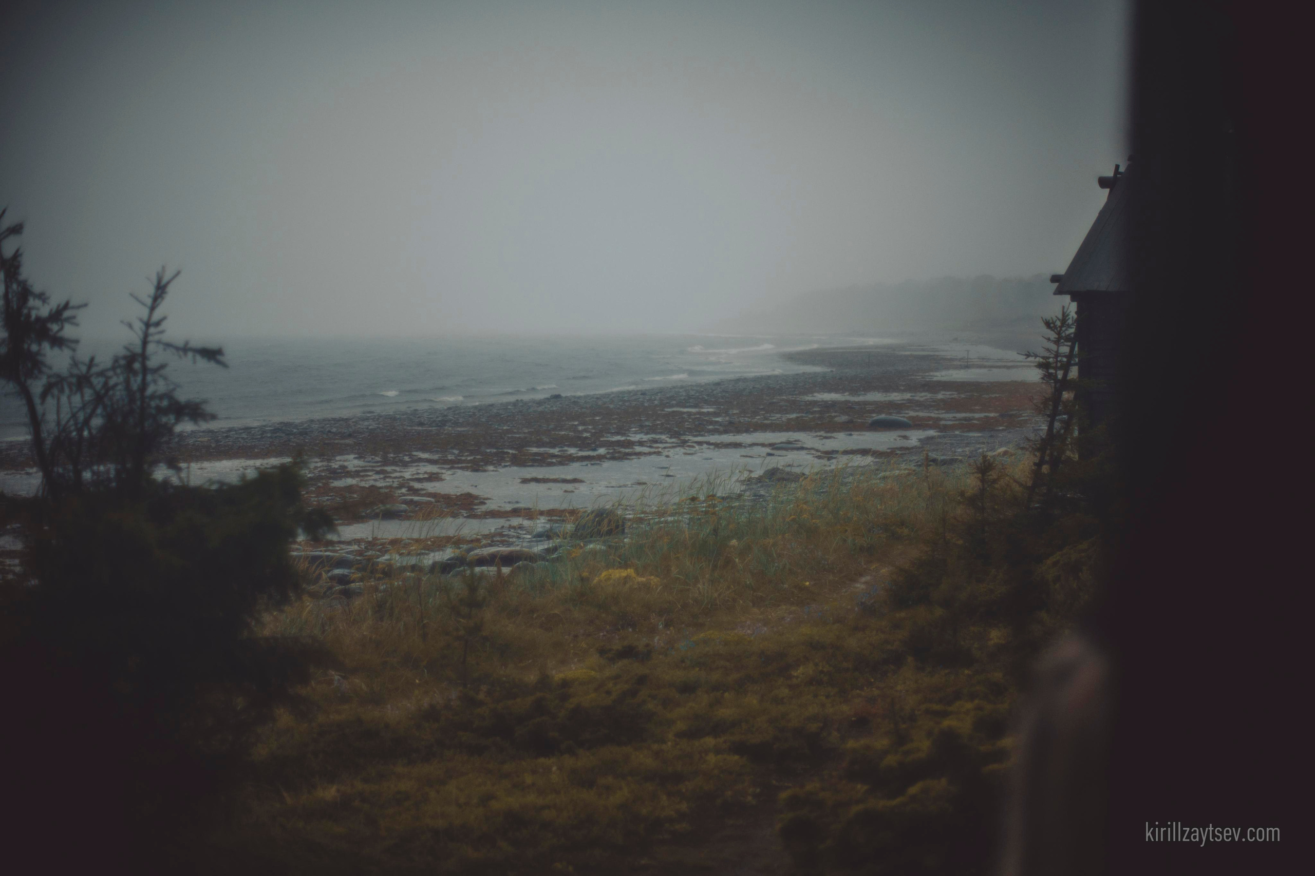 Жизнь. Профессиональный фотограф Кирилл Зайцев