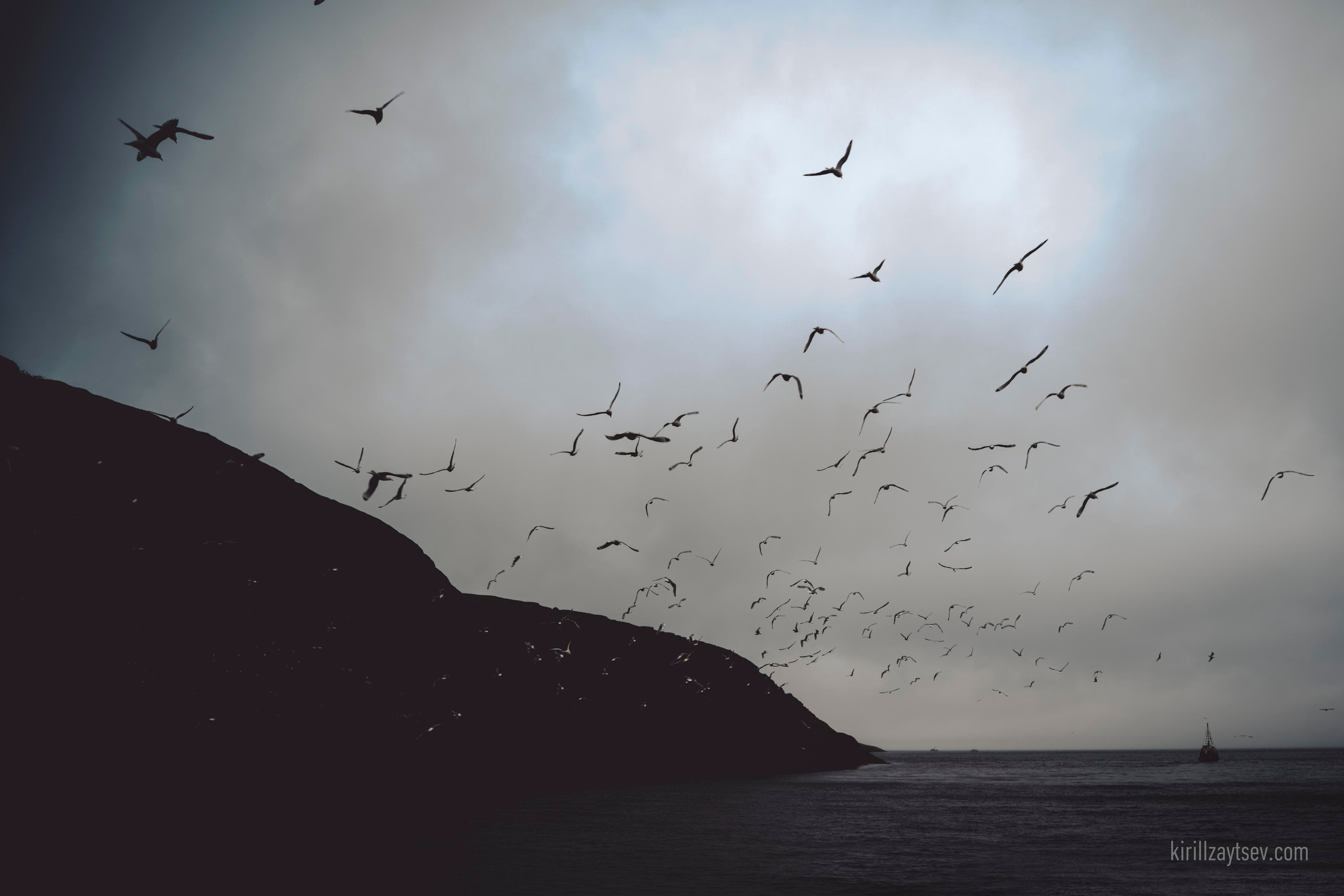 Жизнь. Профессиональный фотограф Кирилл Зайцев