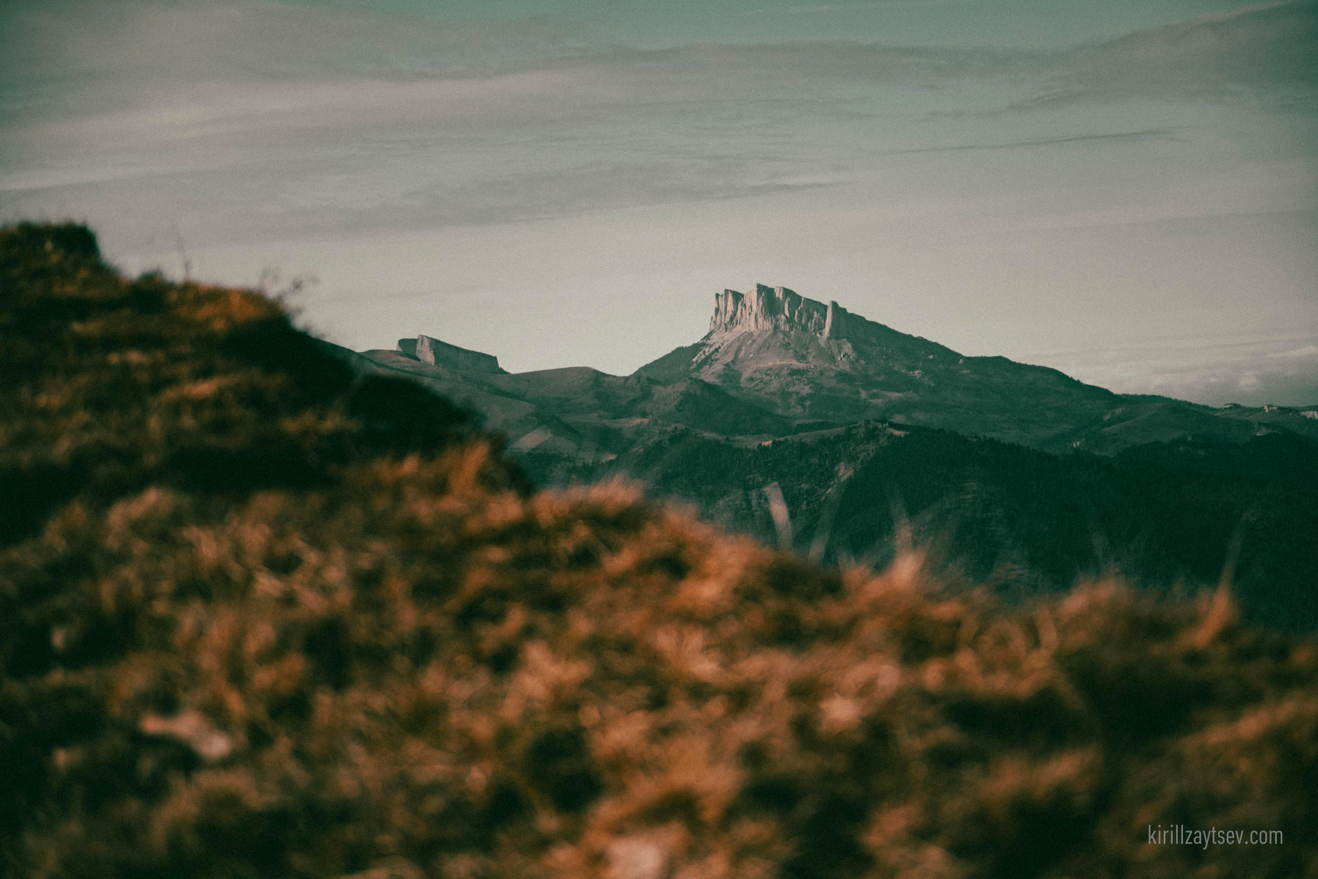 Жизнь. Профессиональный фотограф Кирилл Зайцев