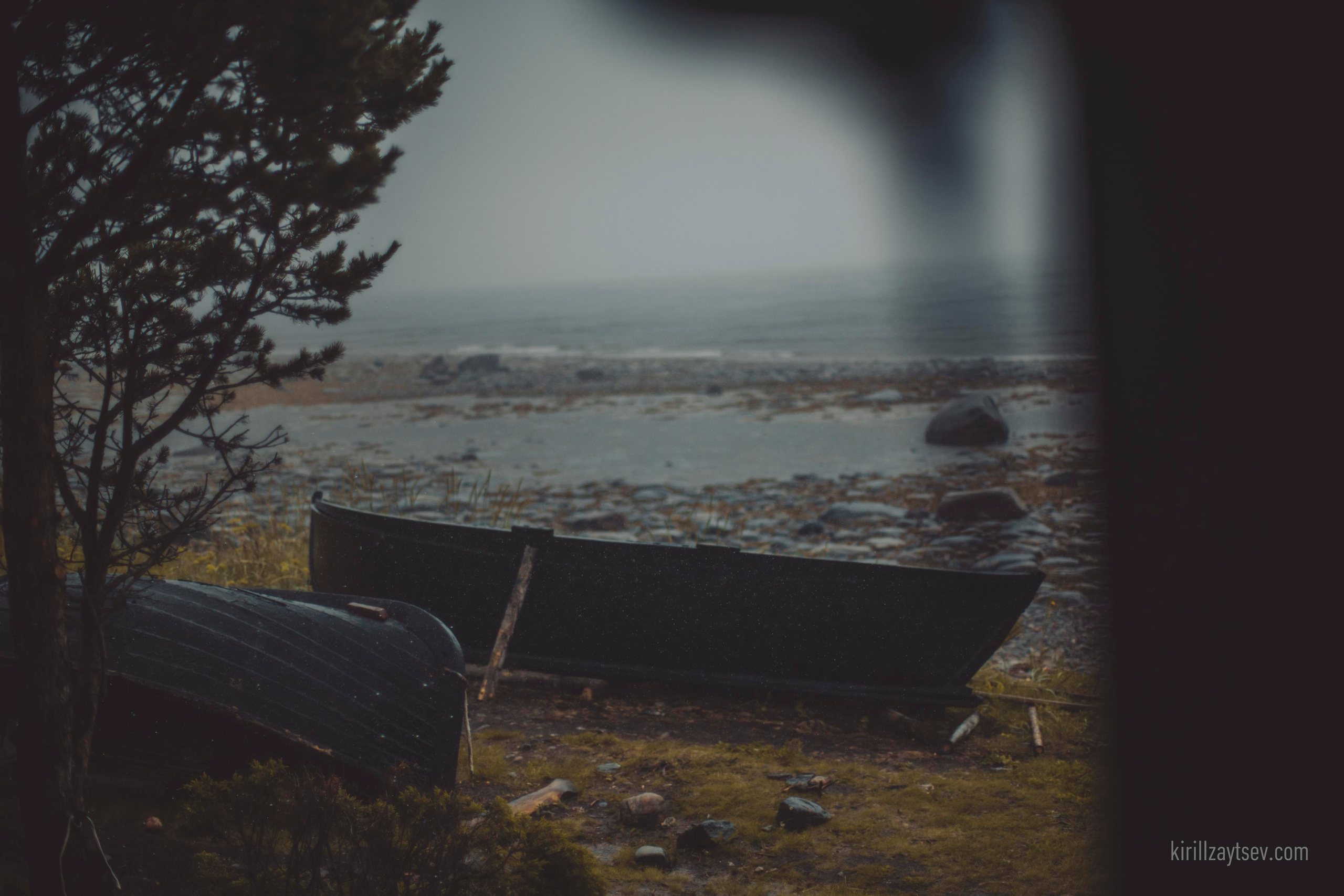 Жизнь. Профессиональный фотограф Кирилл Зайцев