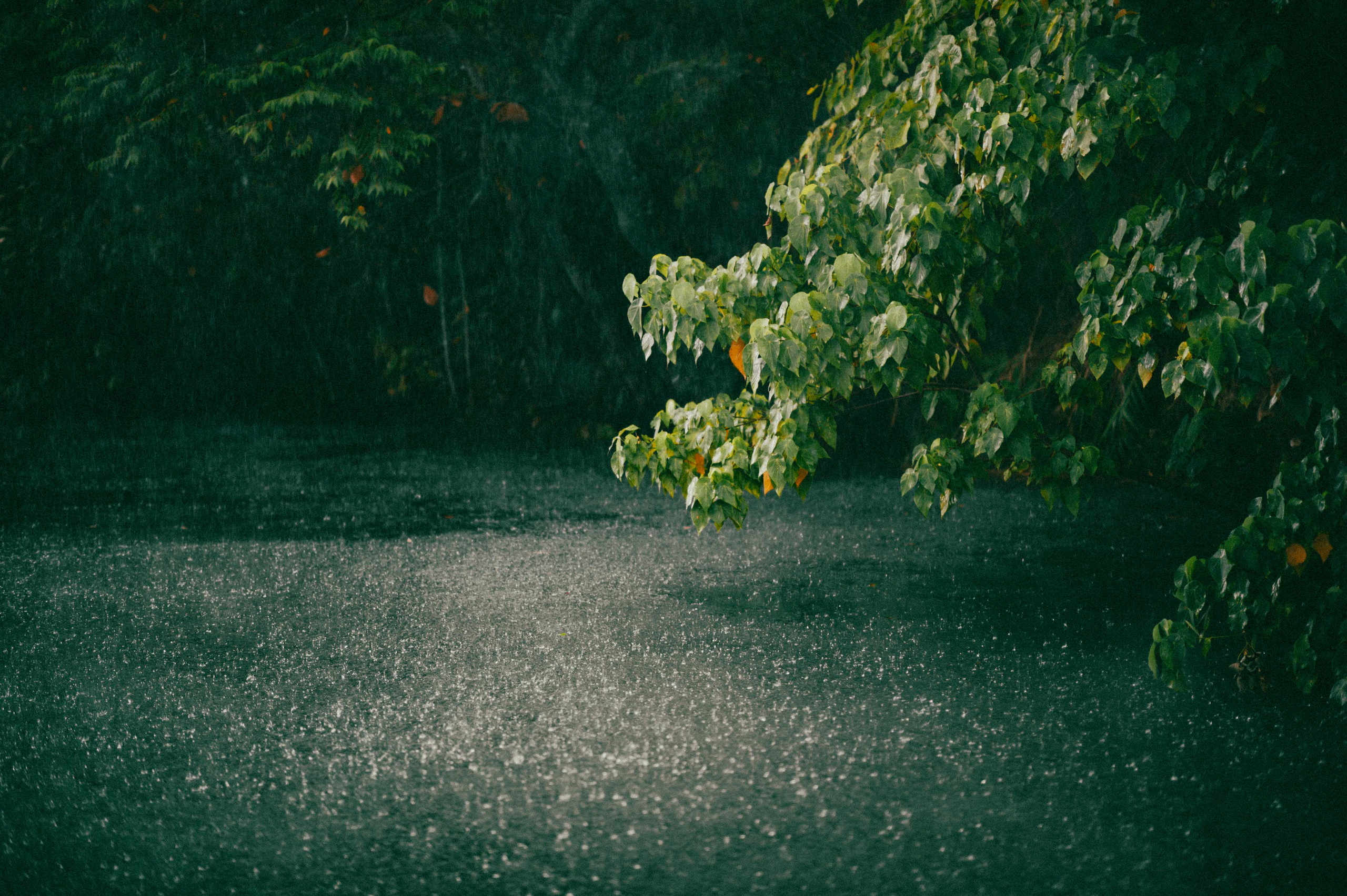 Жизнь. Профессиональный фотограф Кирилл Зайцев