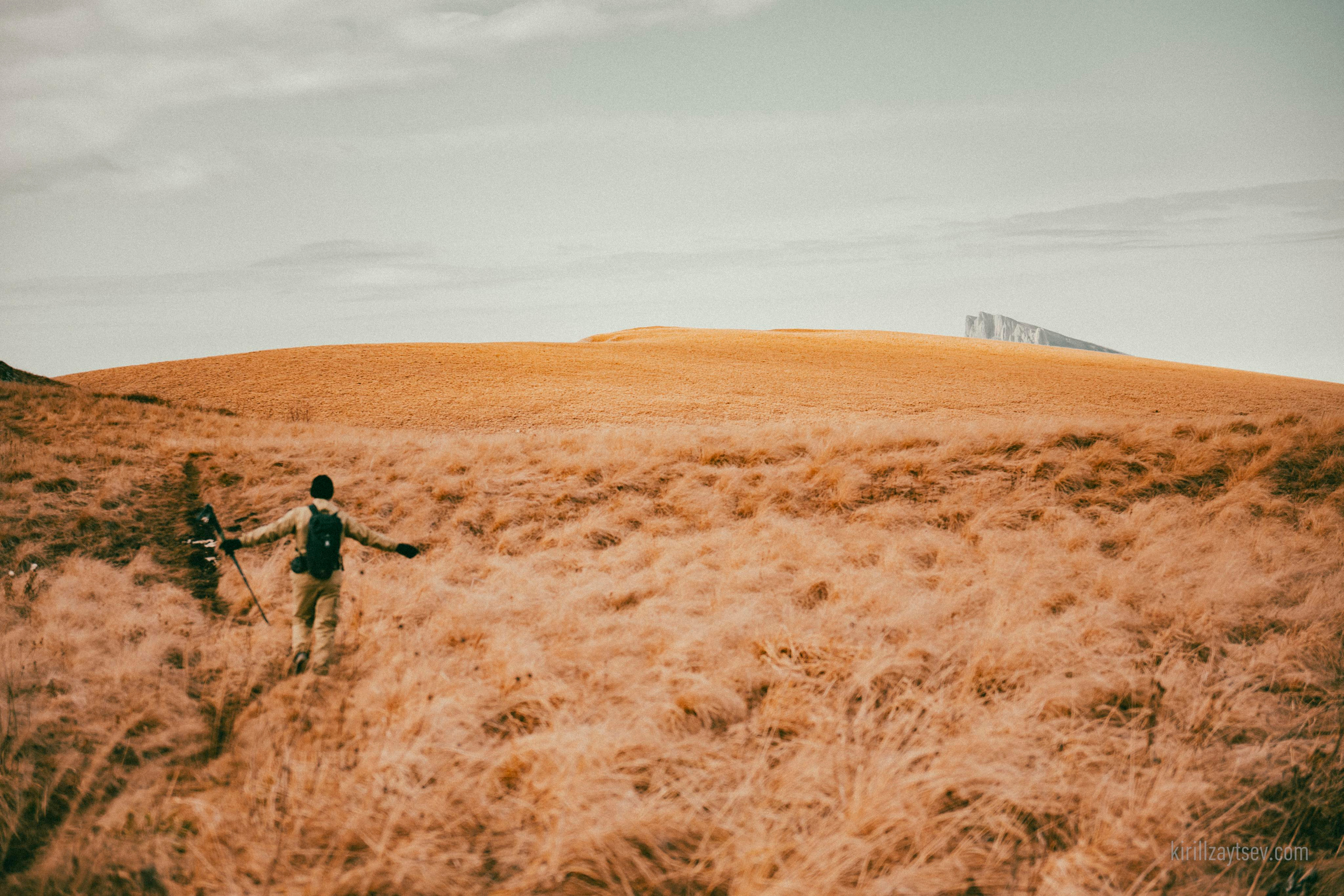 Жизнь. Профессиональный фотограф Кирилл Зайцев