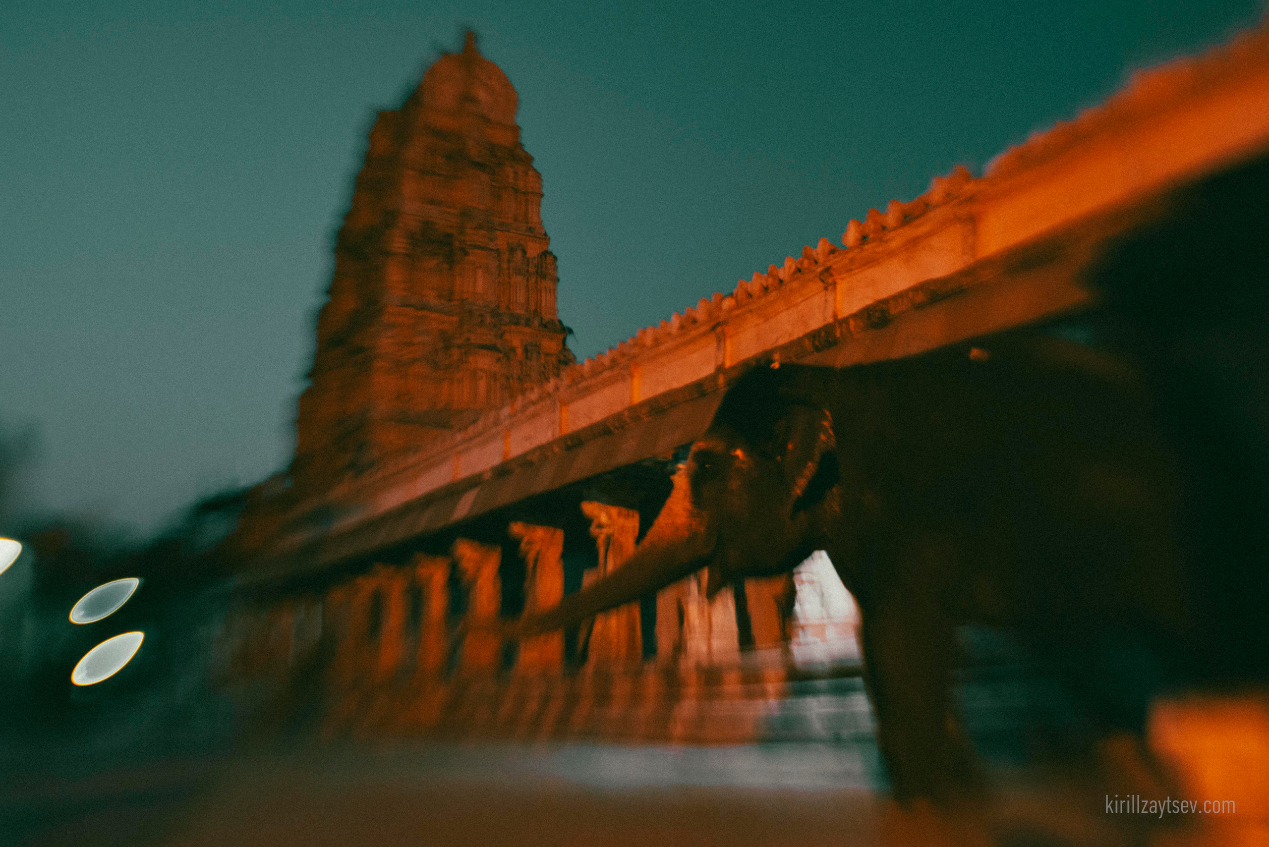 Жизнь. Профессиональный фотограф Кирилл Зайцев