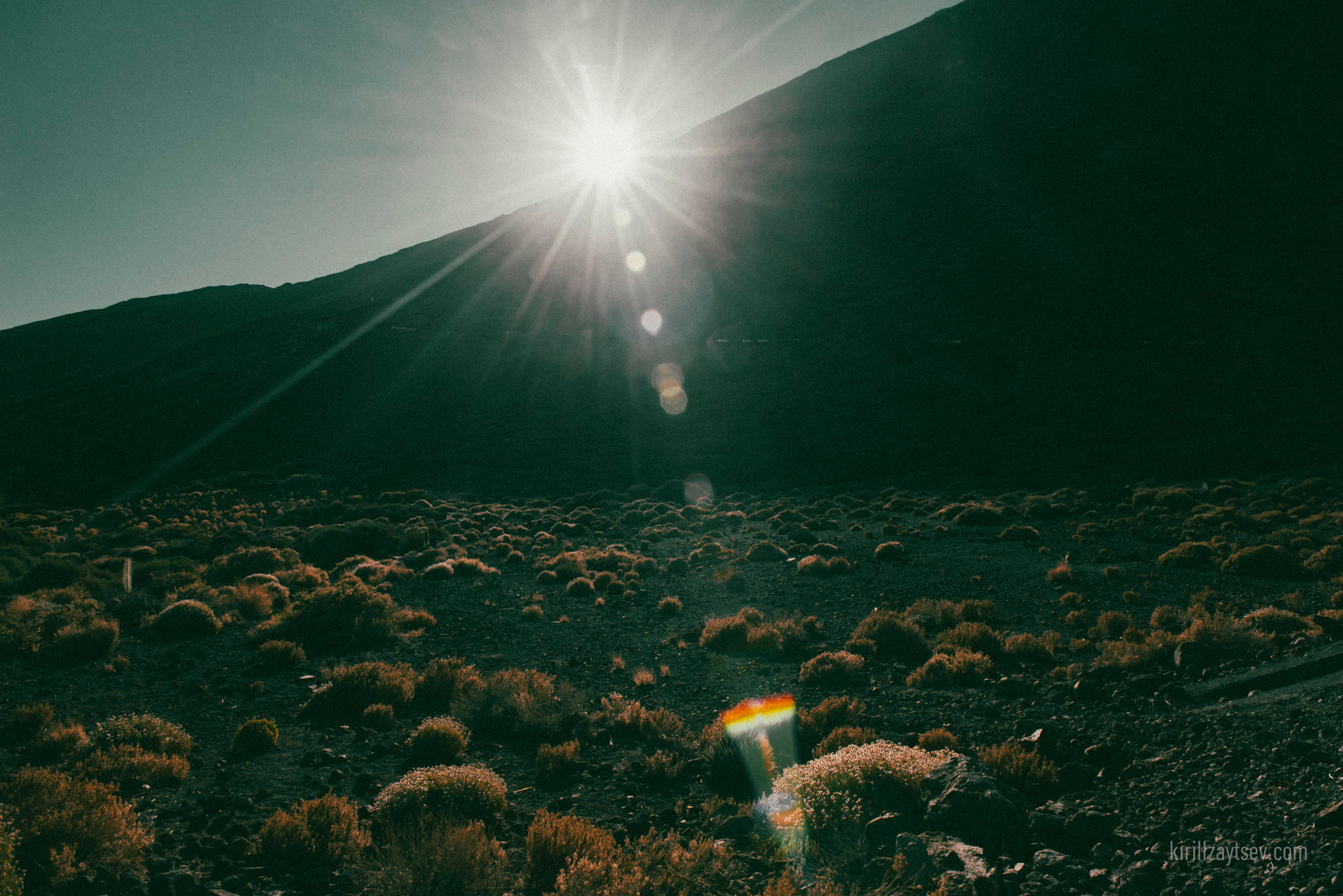 Жизнь. Профессиональный фотограф Кирилл Зайцев