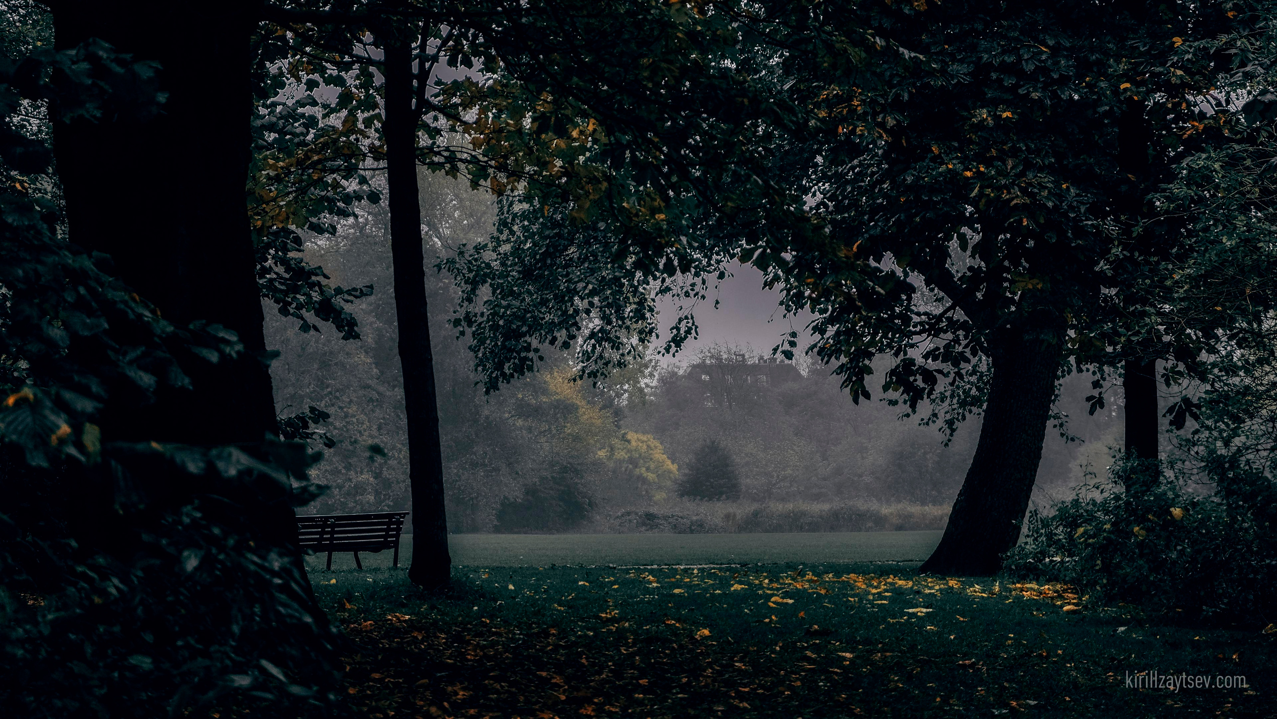 Жизнь. Профессиональный фотограф Кирилл Зайцев