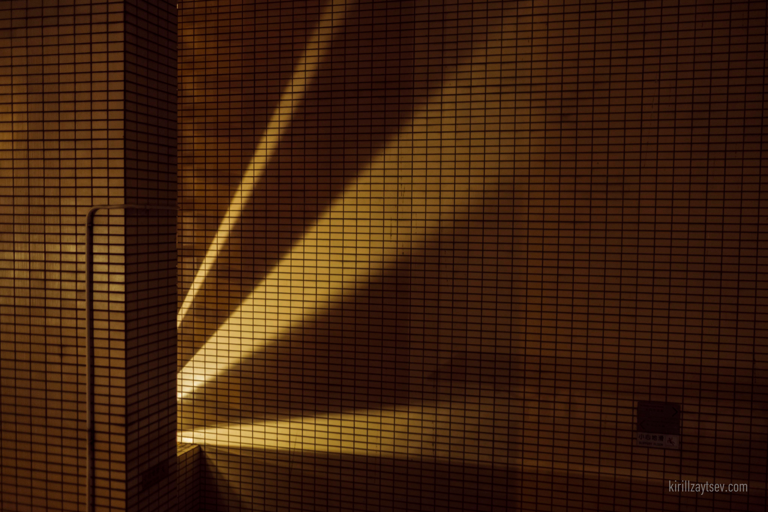 Жизнь. Профессиональный фотограф Кирилл Зайцев