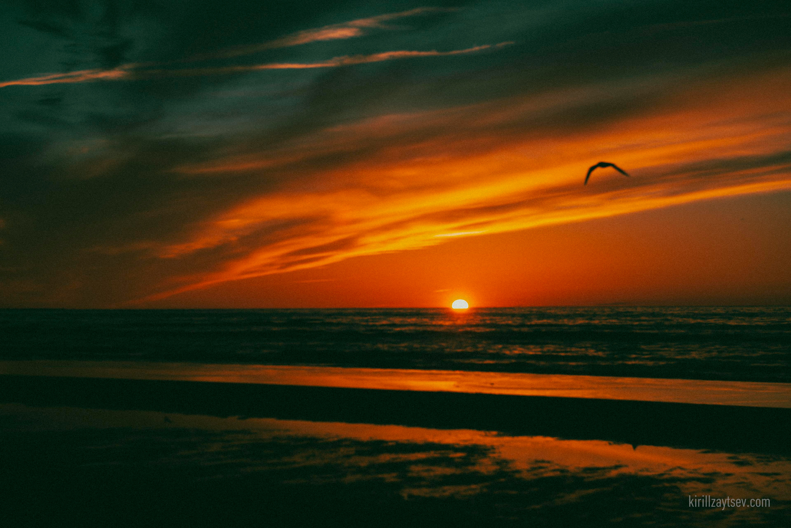 Жизнь. Профессиональный фотограф Кирилл Зайцев