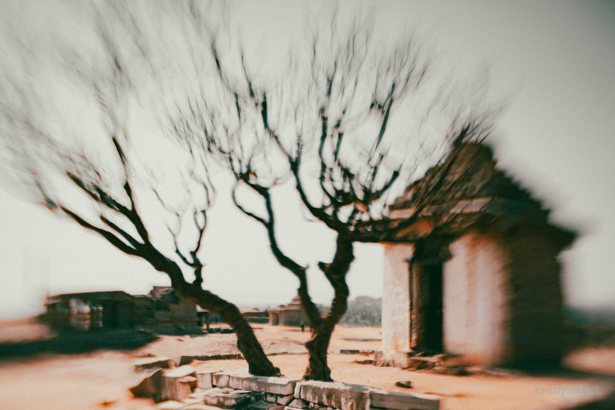 Жизнь. Профессиональный фотограф Кирилл Зайцев