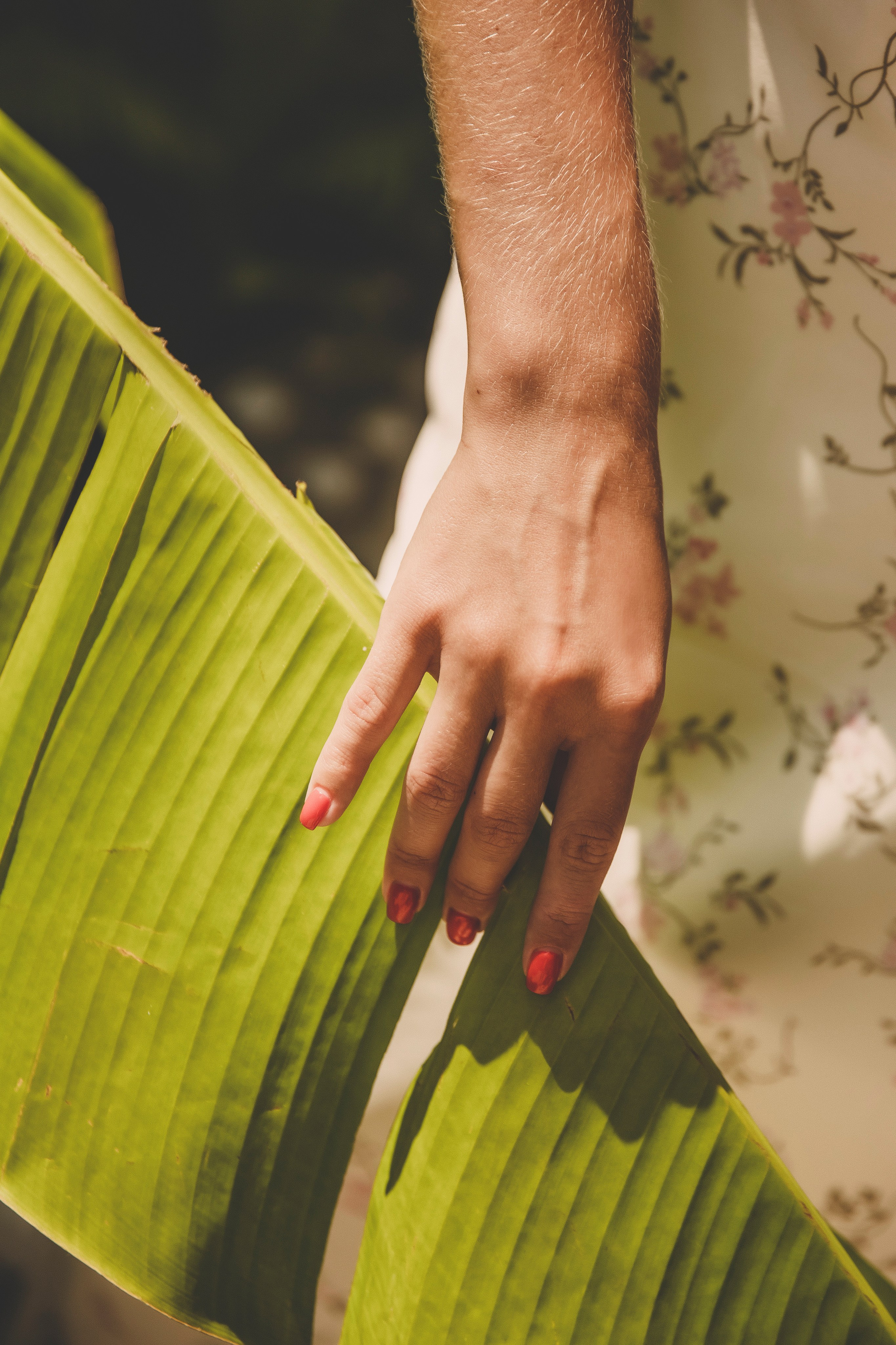 Татьяна. Свадебный и семейный фотограф Колоскова Мария (Сочи и весь мир)