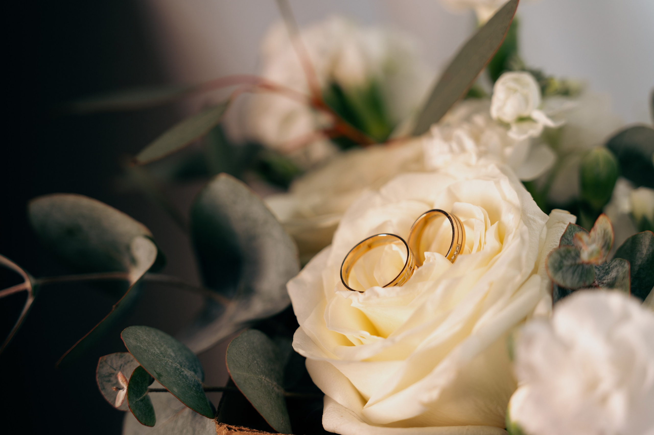 Сборы Невесты и Жениха. Фото и видео съёмка в Москве и МО Александр Чапала и Трояк Алеся