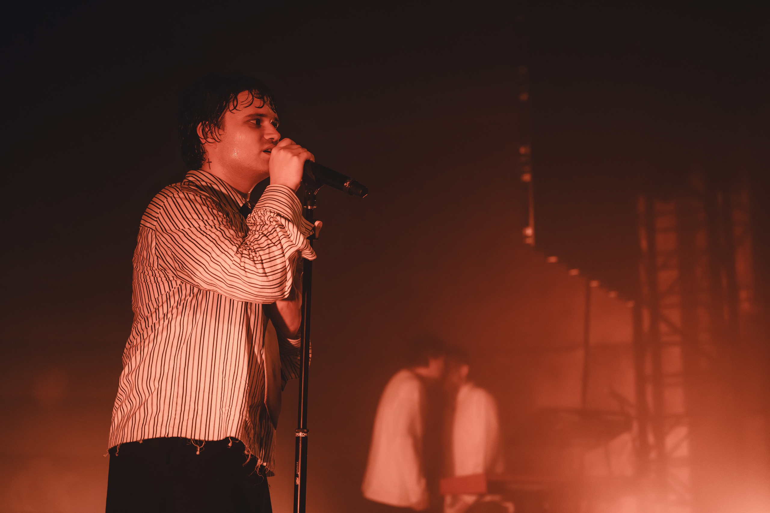 SALUKI. Фотограф Санкт-Петербурга