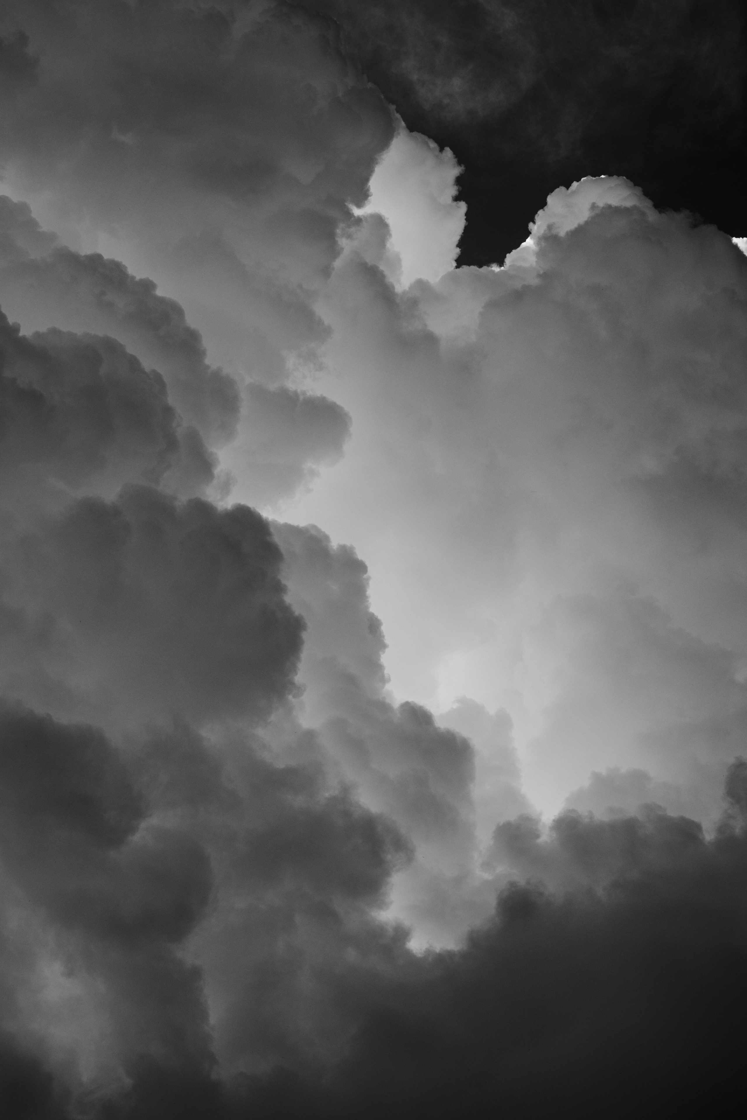 Portfolio. @beingabird.photography