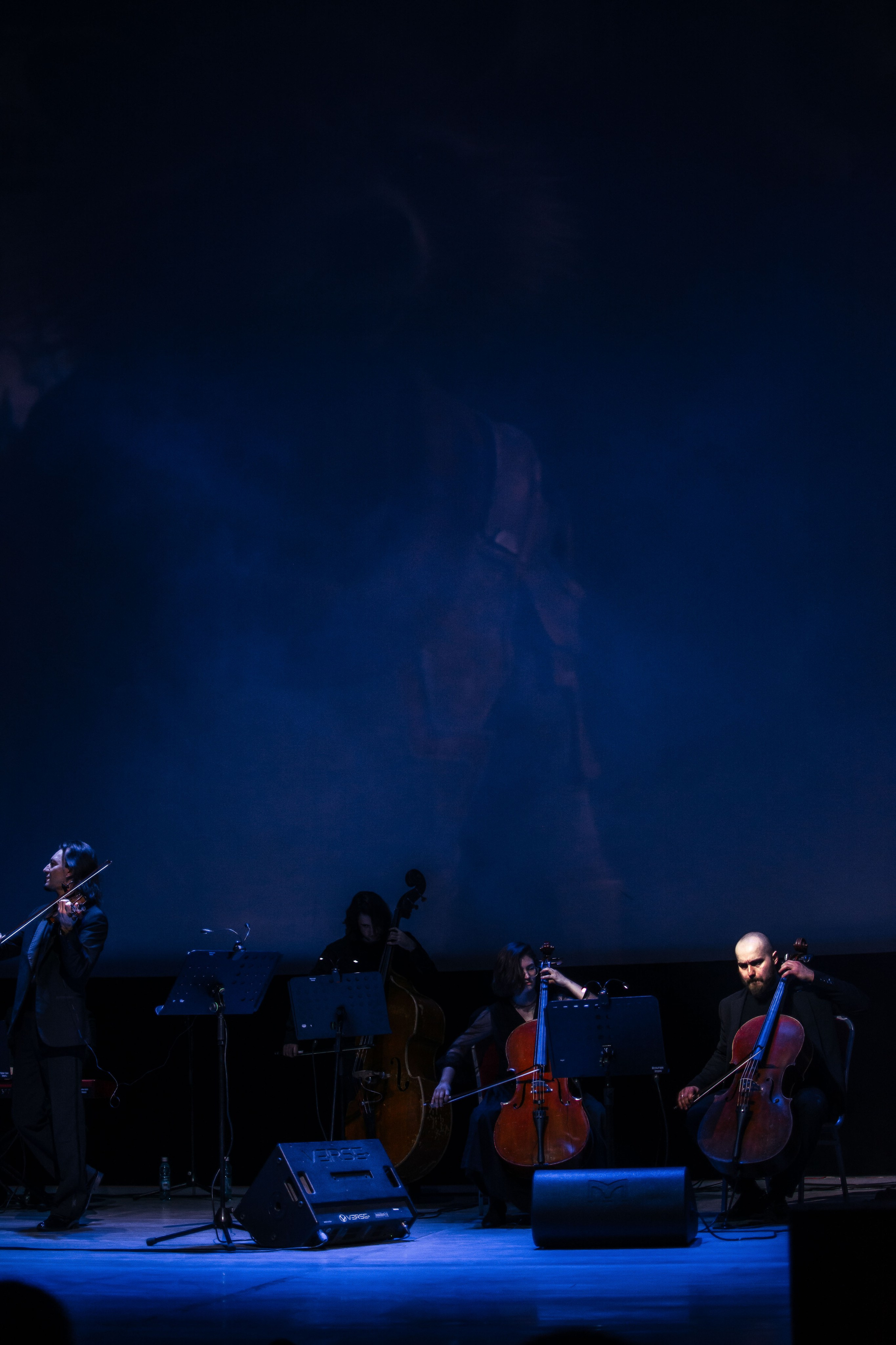 Концерт оркестра Cinematica. Репортажный фотограф в Новосибирске