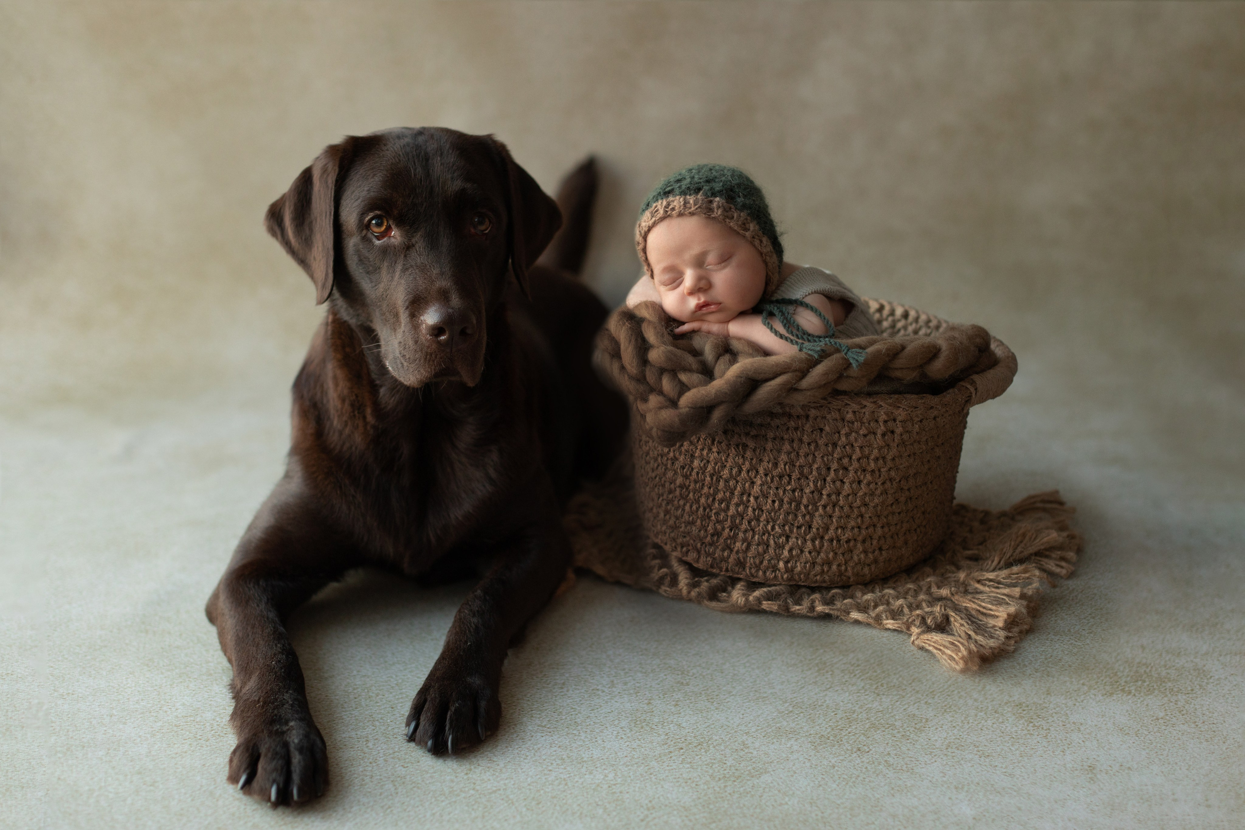 PH @bestmoments_newborn. Retoucher Aleksmokh