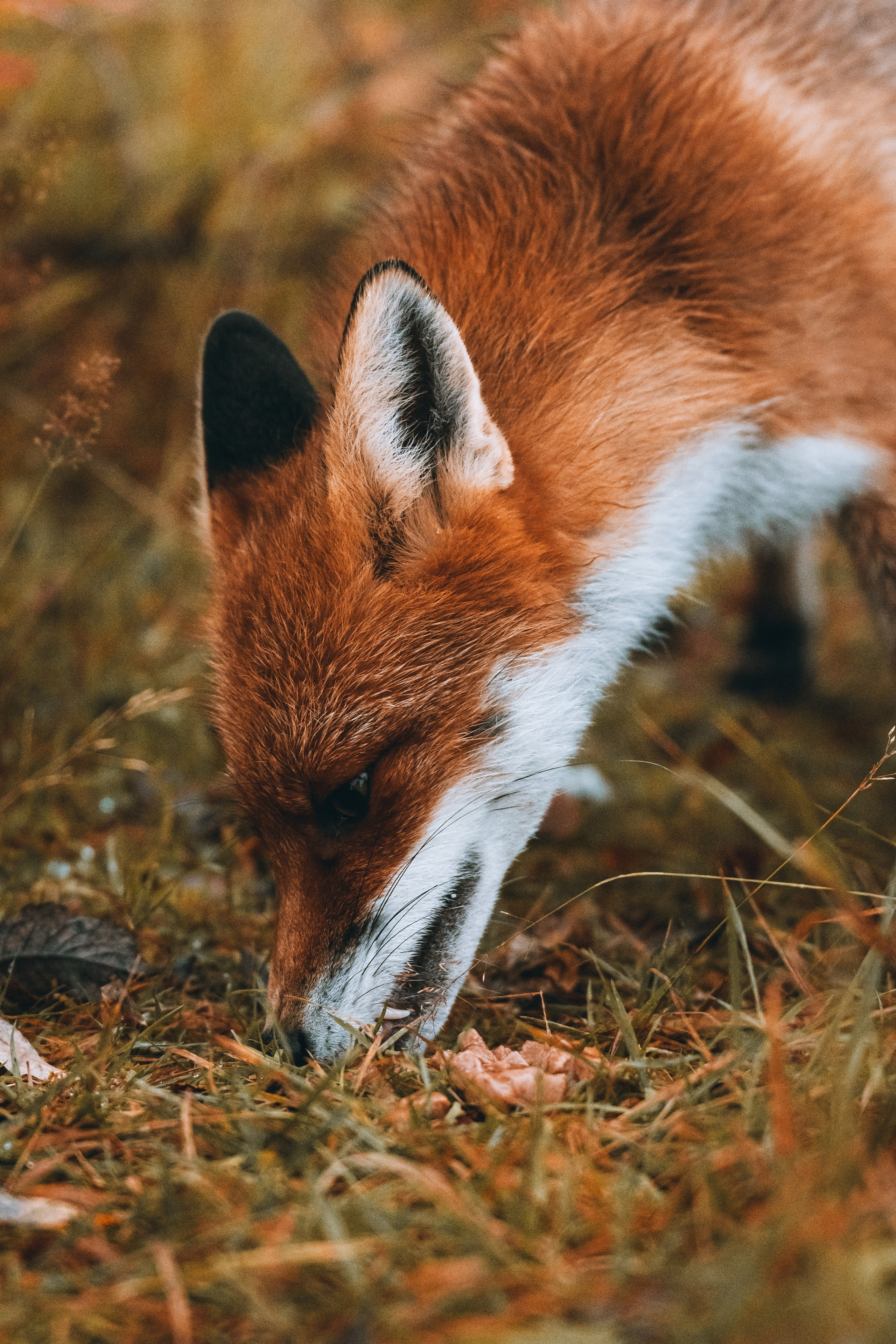 СЕВЕР. Event фотограф Степанова Александра