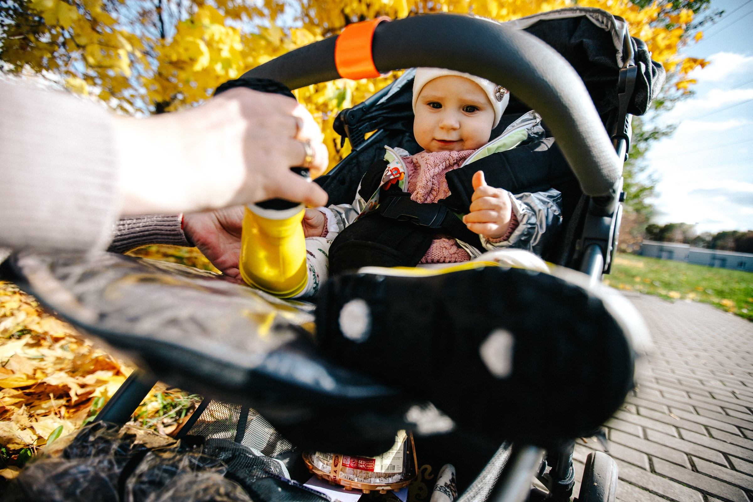Семейная осень. Женский и репортажный фотограф Москва Натали Смирнова