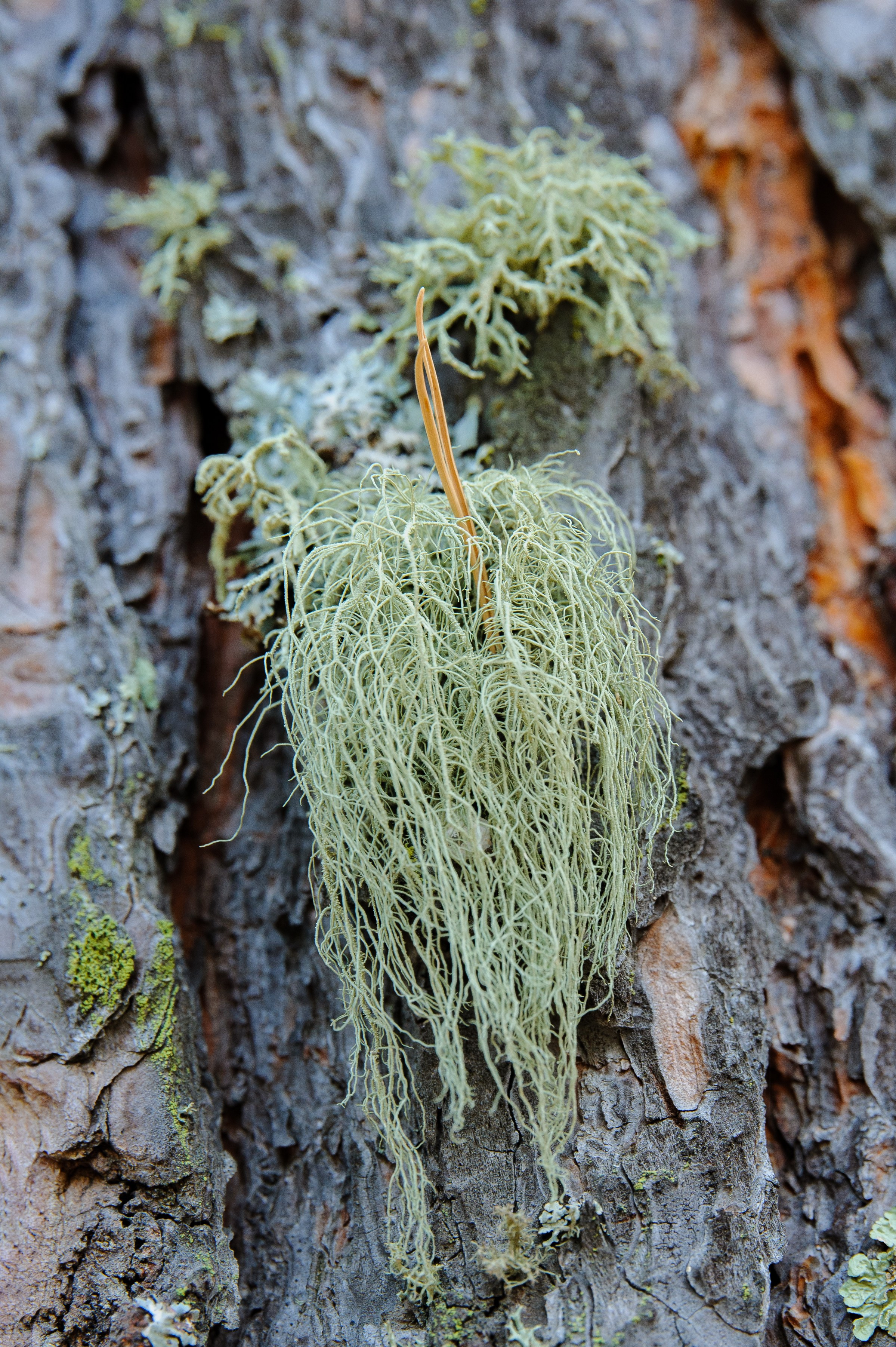 Осень. FotoGraf