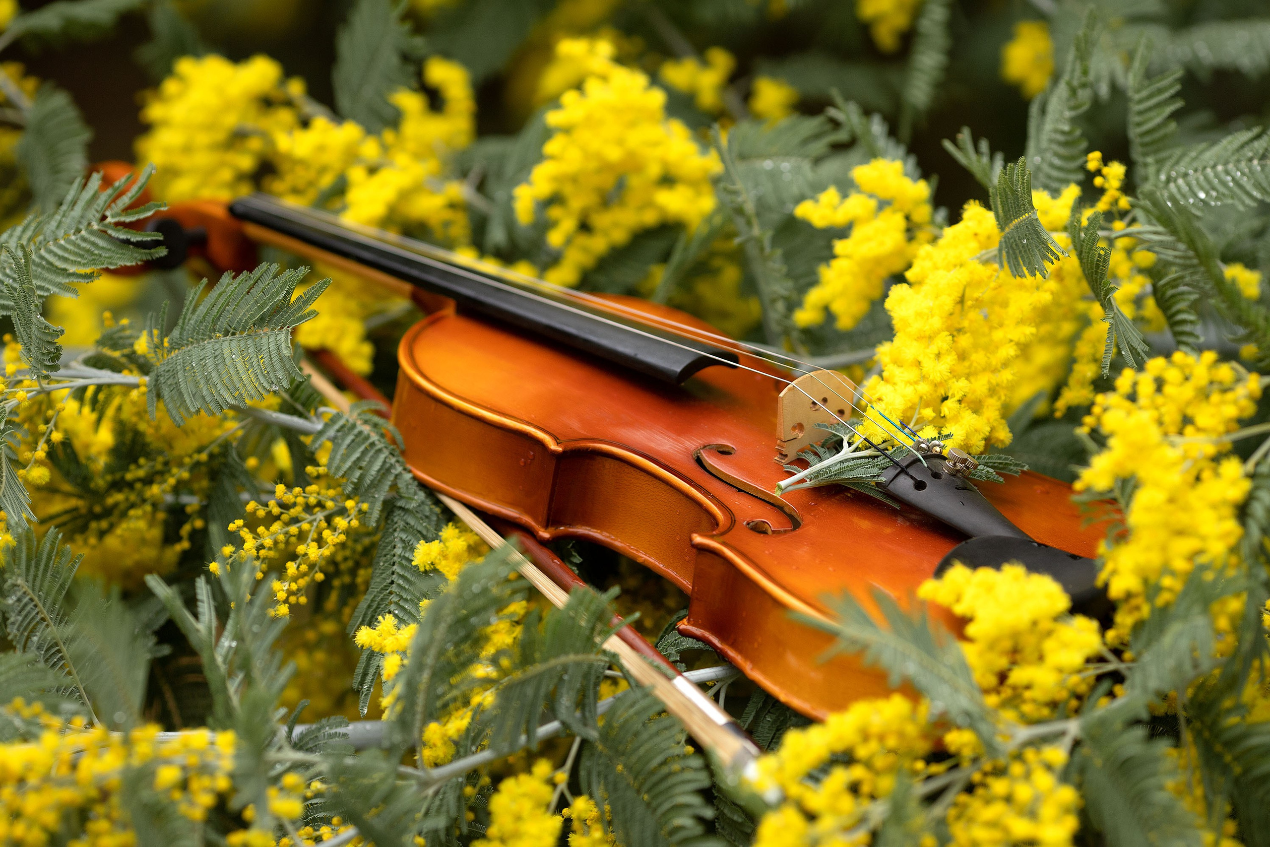 Фотопроект «Милый сиреневый». Женский и портретный фотограф Мила Прошина. Краснодаар