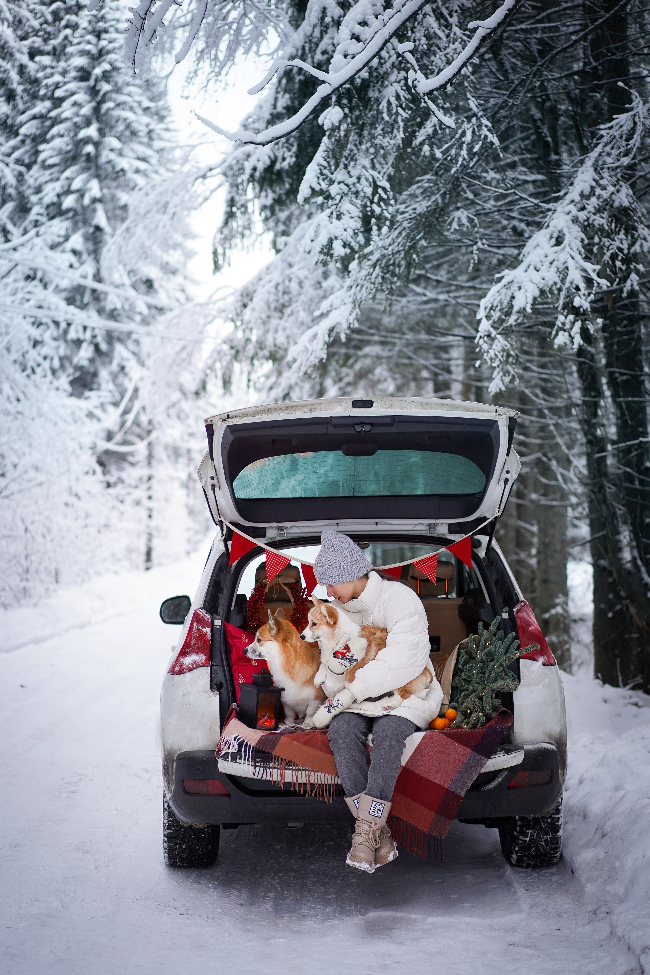 Катя Рокки и Честер. Фотограф-анималист в Санкт-Петербурге Яна Мартынова