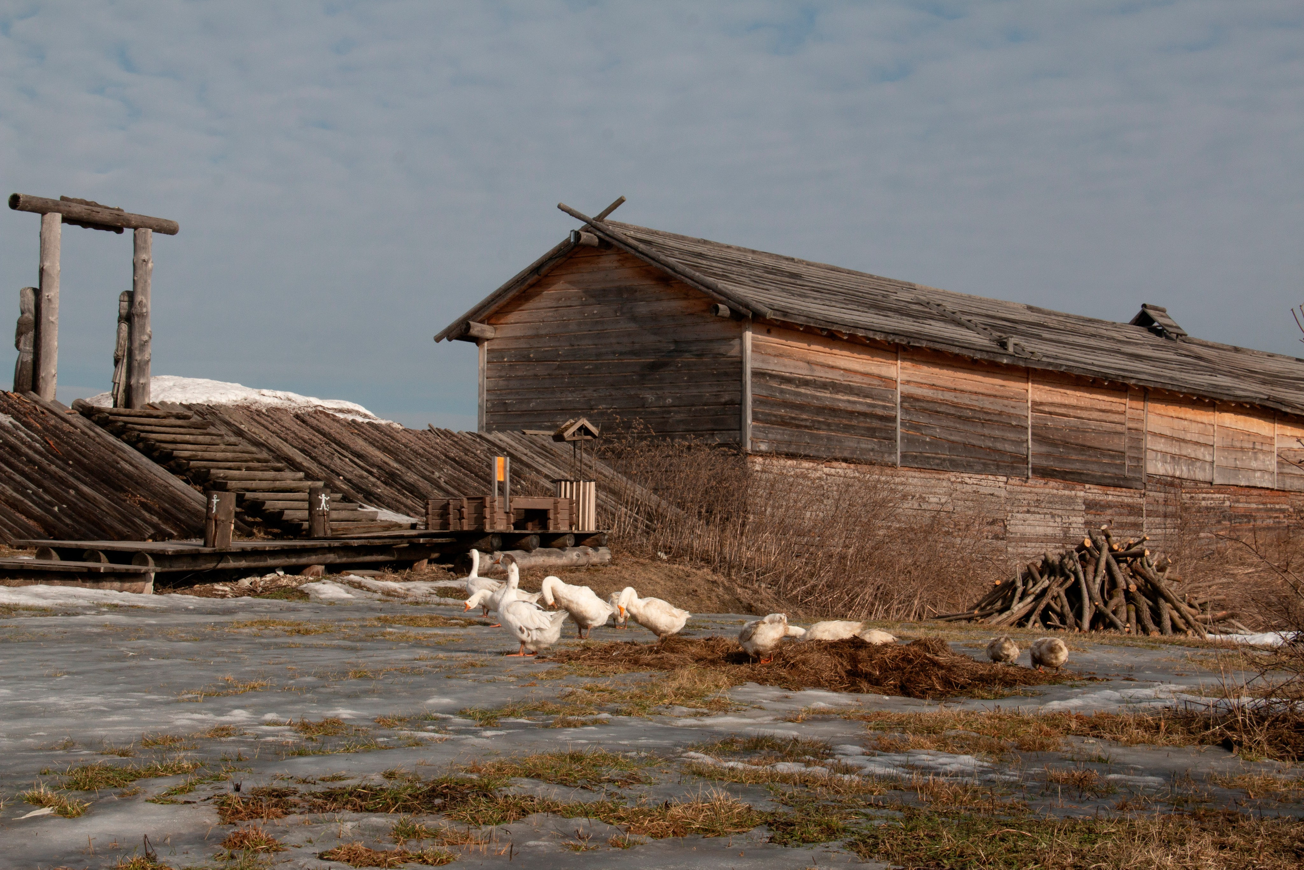 Пейзажи. Фотограф из Санкт-Петербурга — Виктория Горелкова