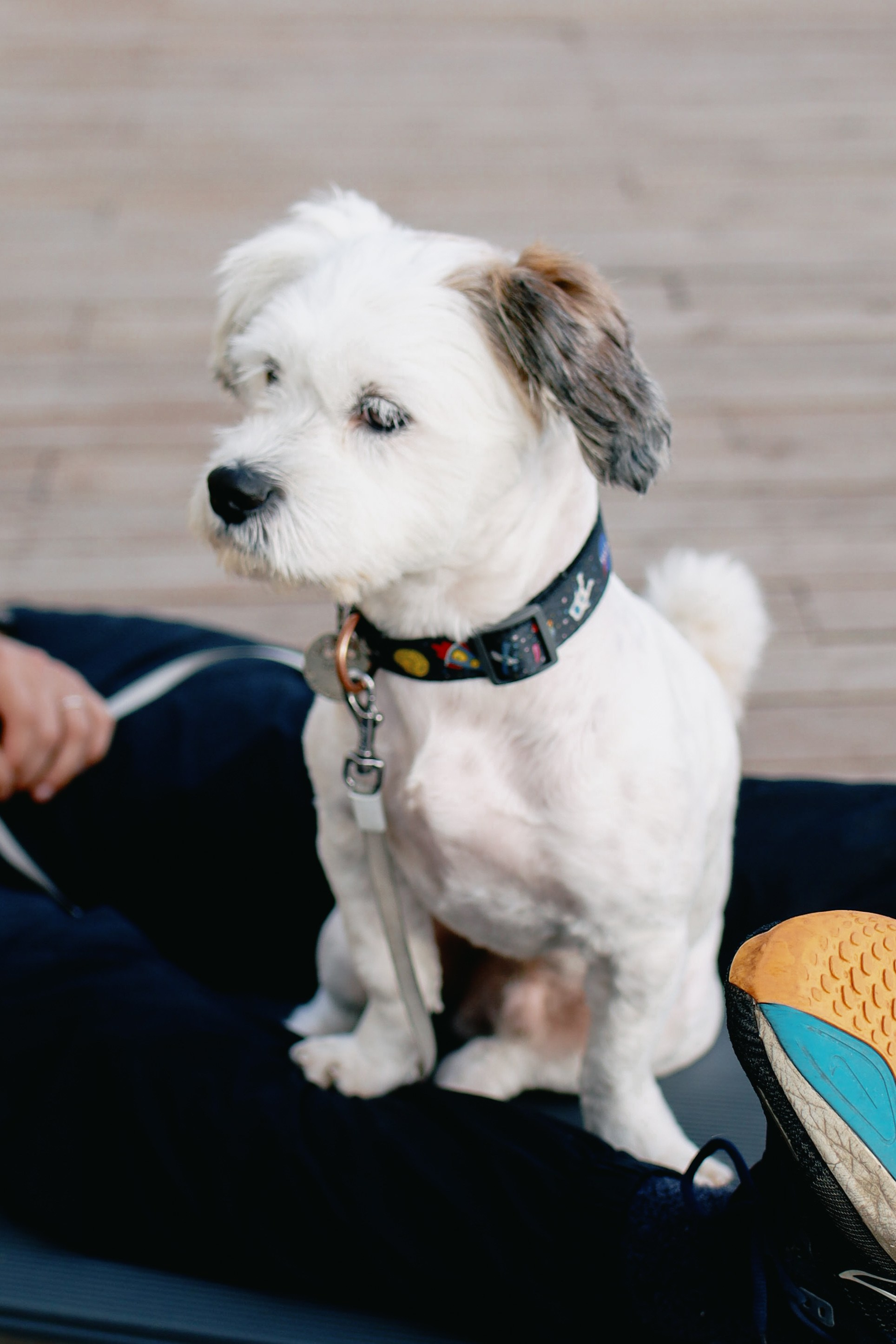 Антон тут рядом. Фотограф в Санкт-Петербурге Ангелина Вражевская
