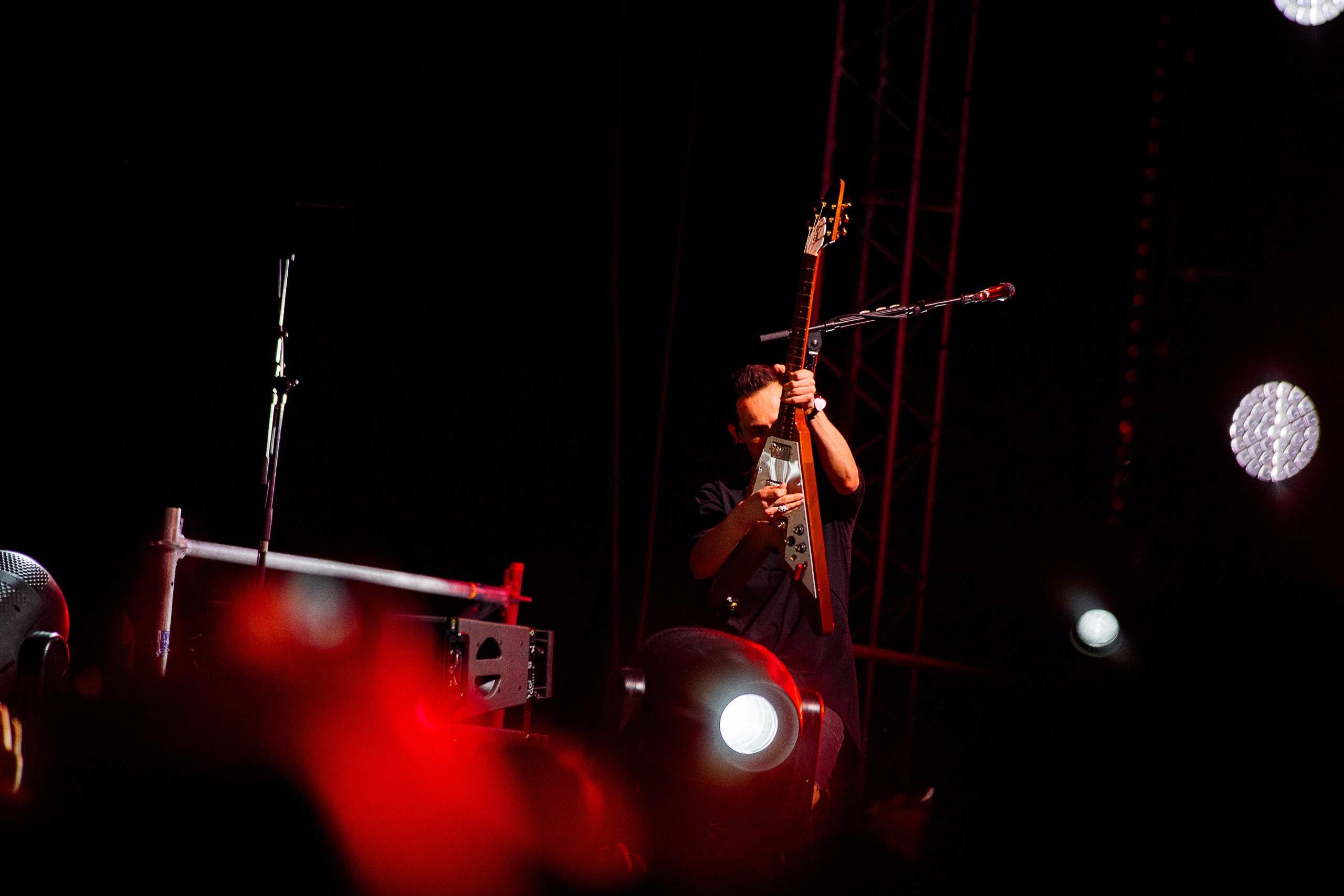 Звери 2025. Репортажный фотограф в Кемерово