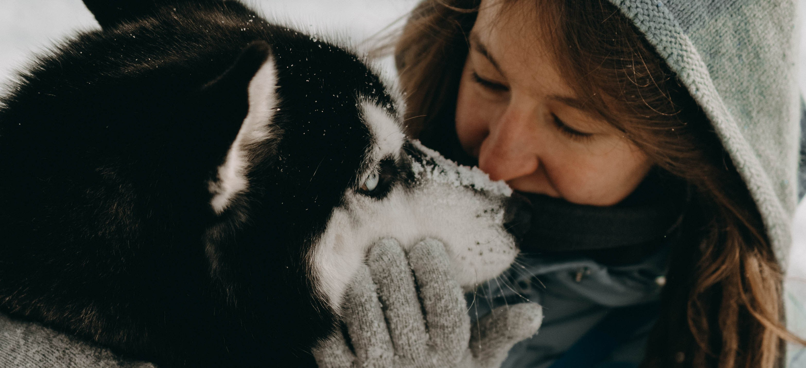Анна и Вегас. Фотограф-анималист в Екатеринбурге | Кристина