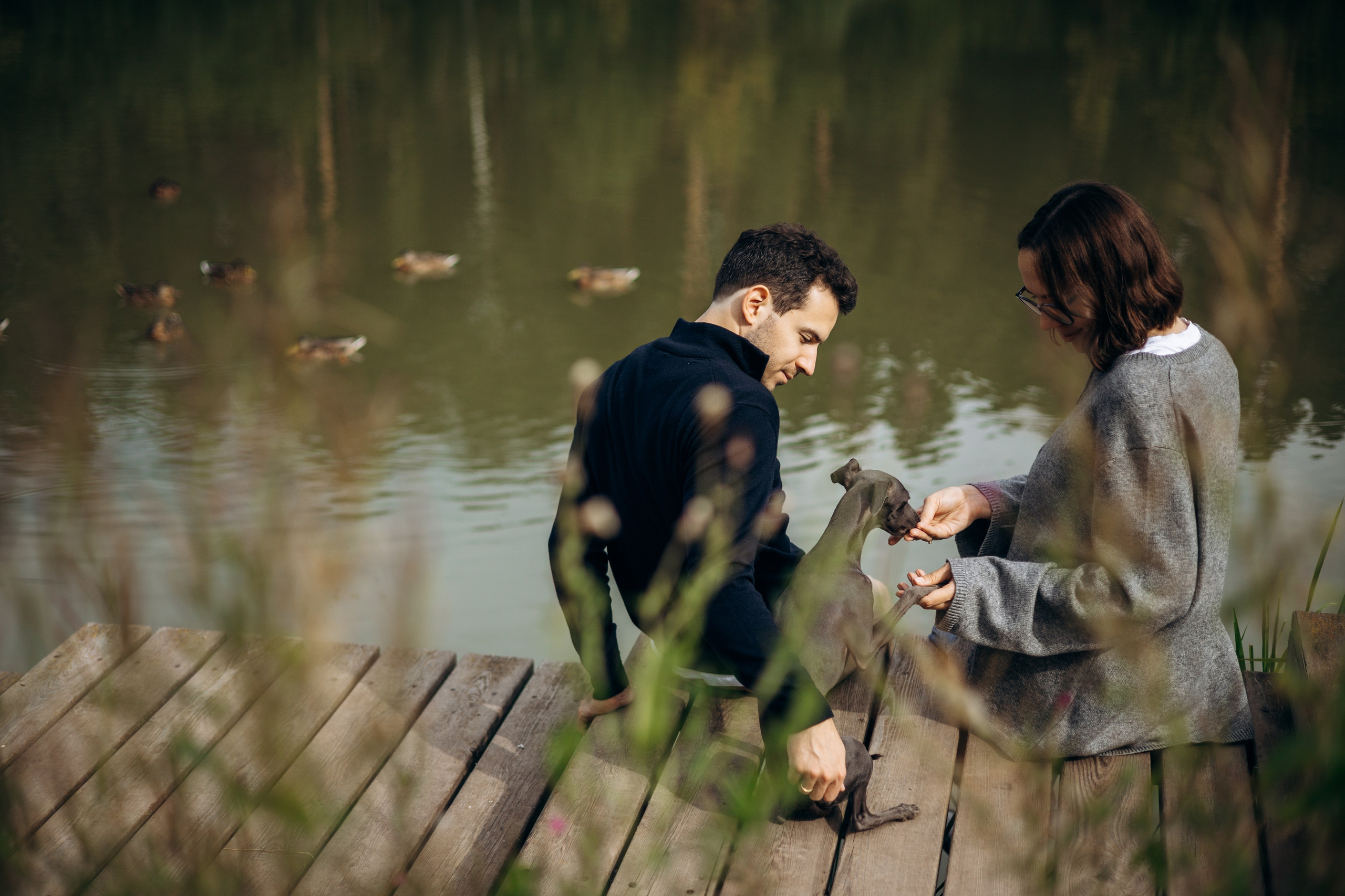 Лучик и ее семья. Фотограф — Анималист | Санкт-Петербург