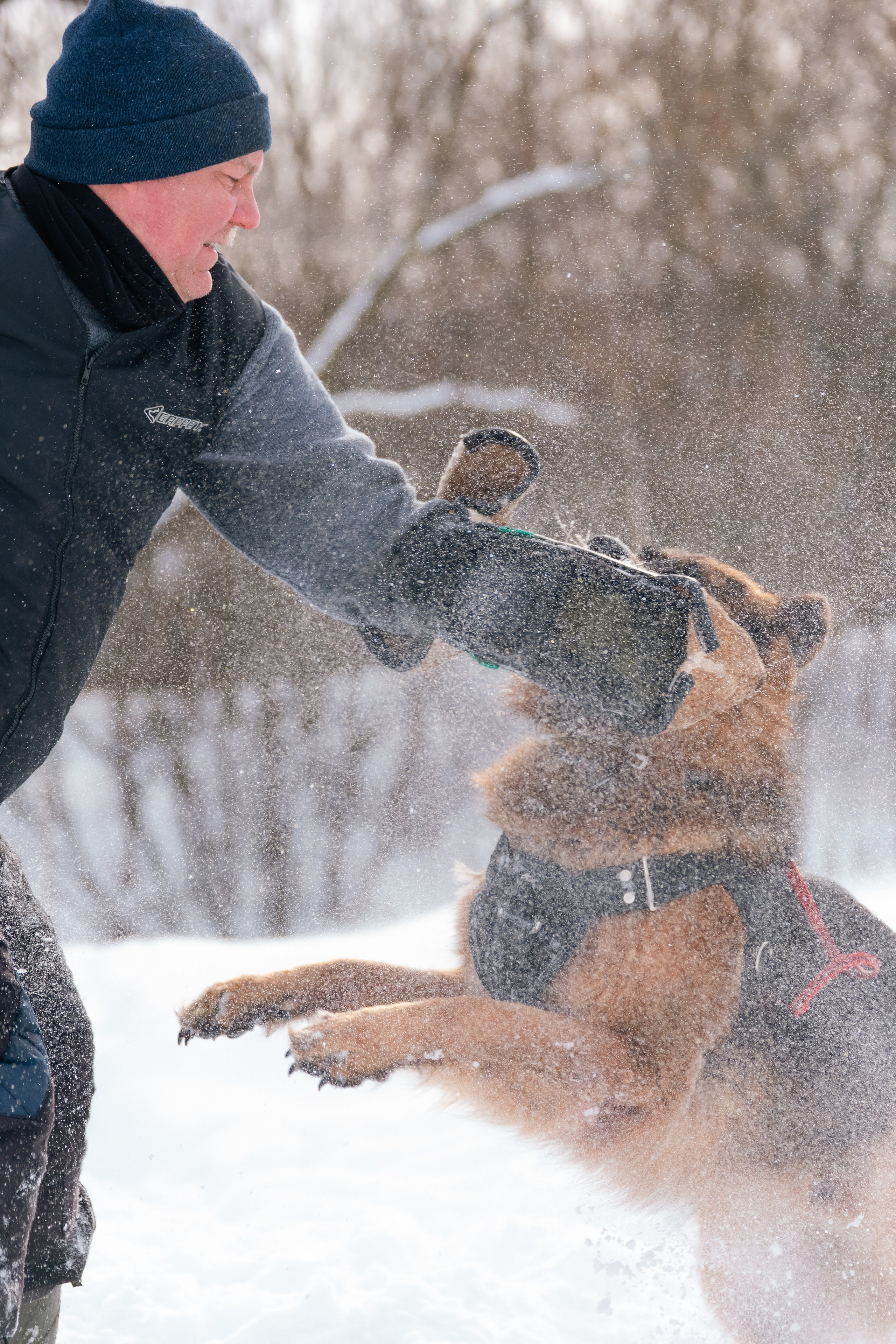 Репортажная съемка. Фотограф-анималист Нижний Новгород
