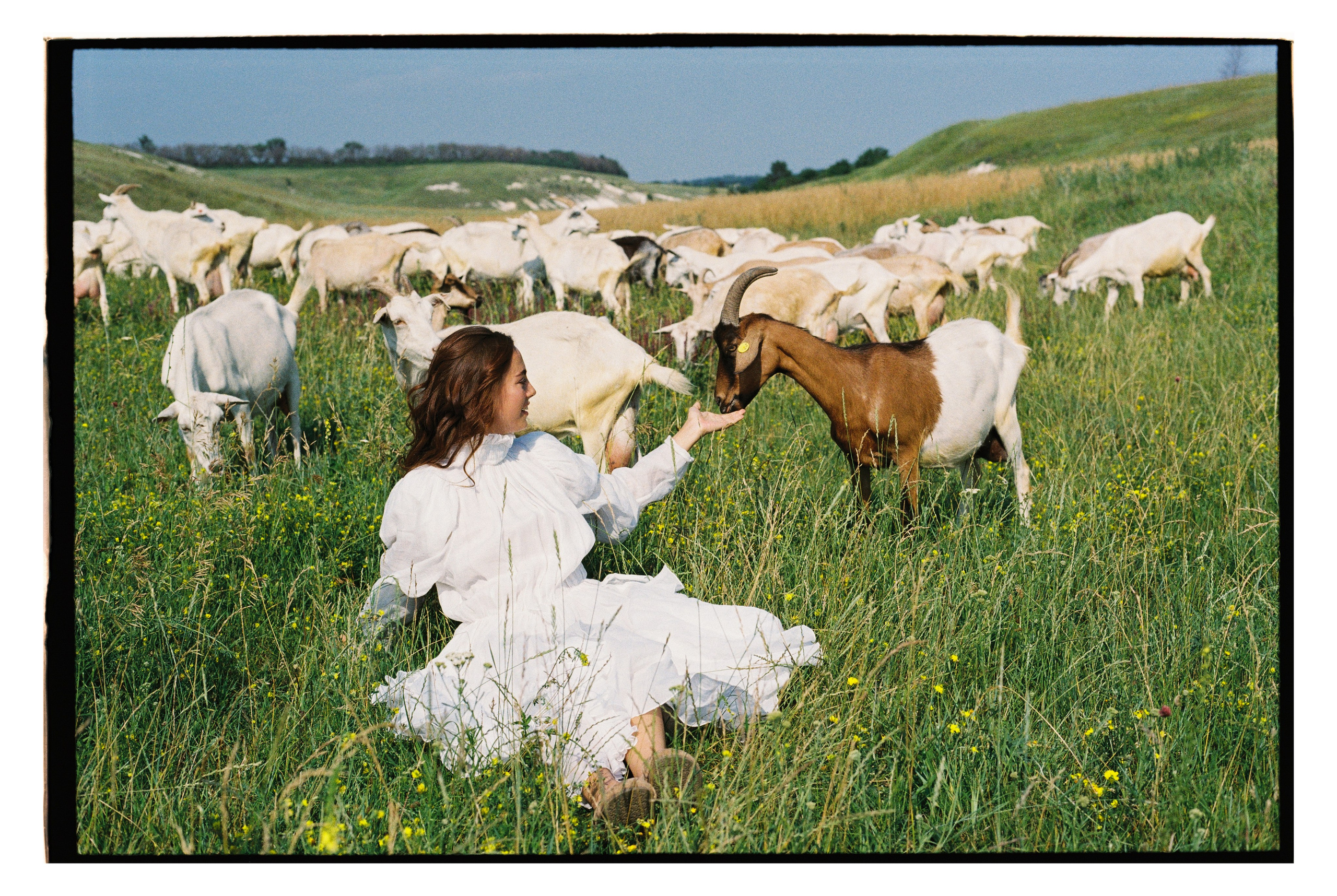 Freedom. Фотограф Шалаева Александра