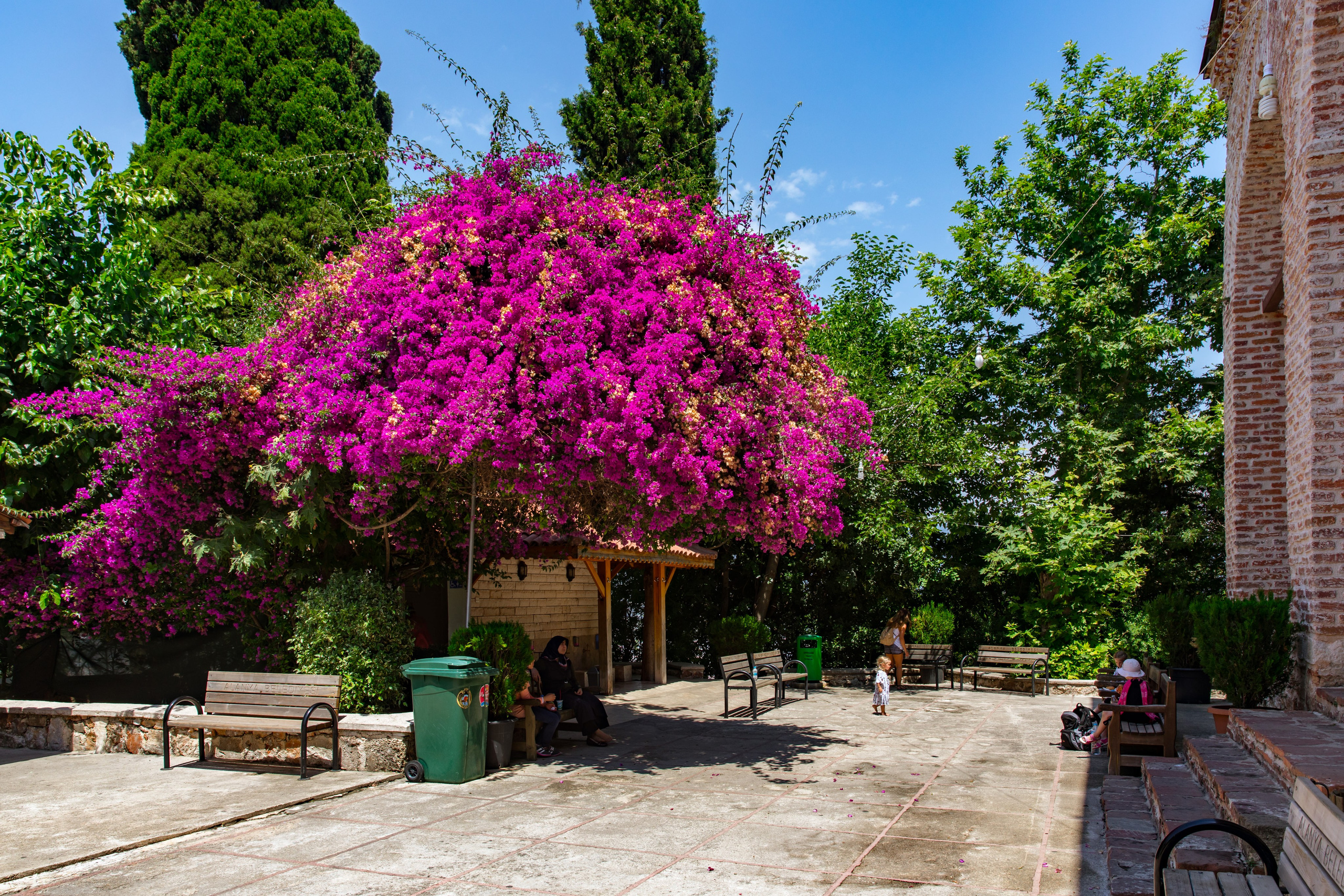 Алания. Фото департамент круизного лайнера Астория Гранде
