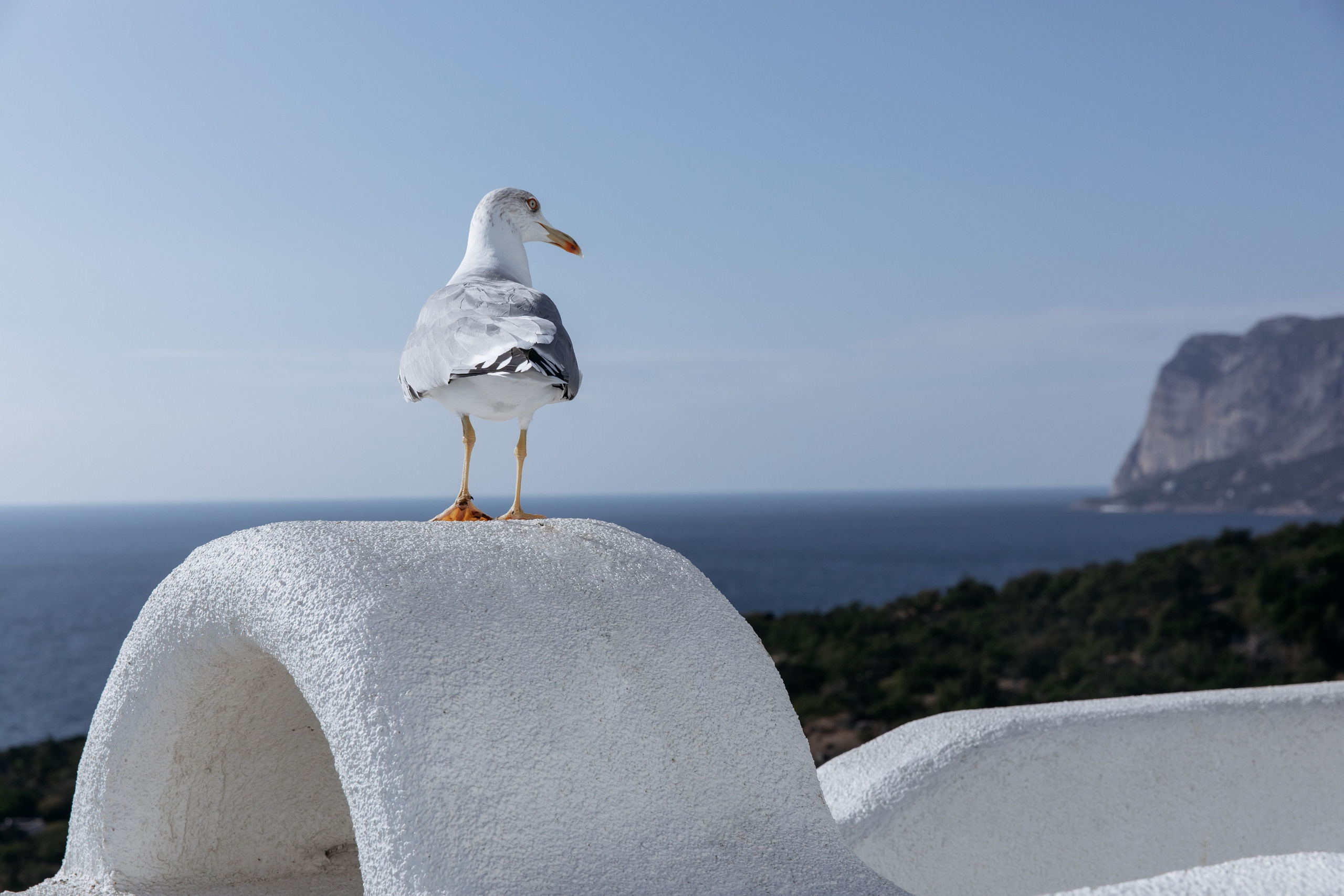 Иван и Кристина. Свадебный и семейный фотограф в Севастополе и Крыму Анастасия Сураева