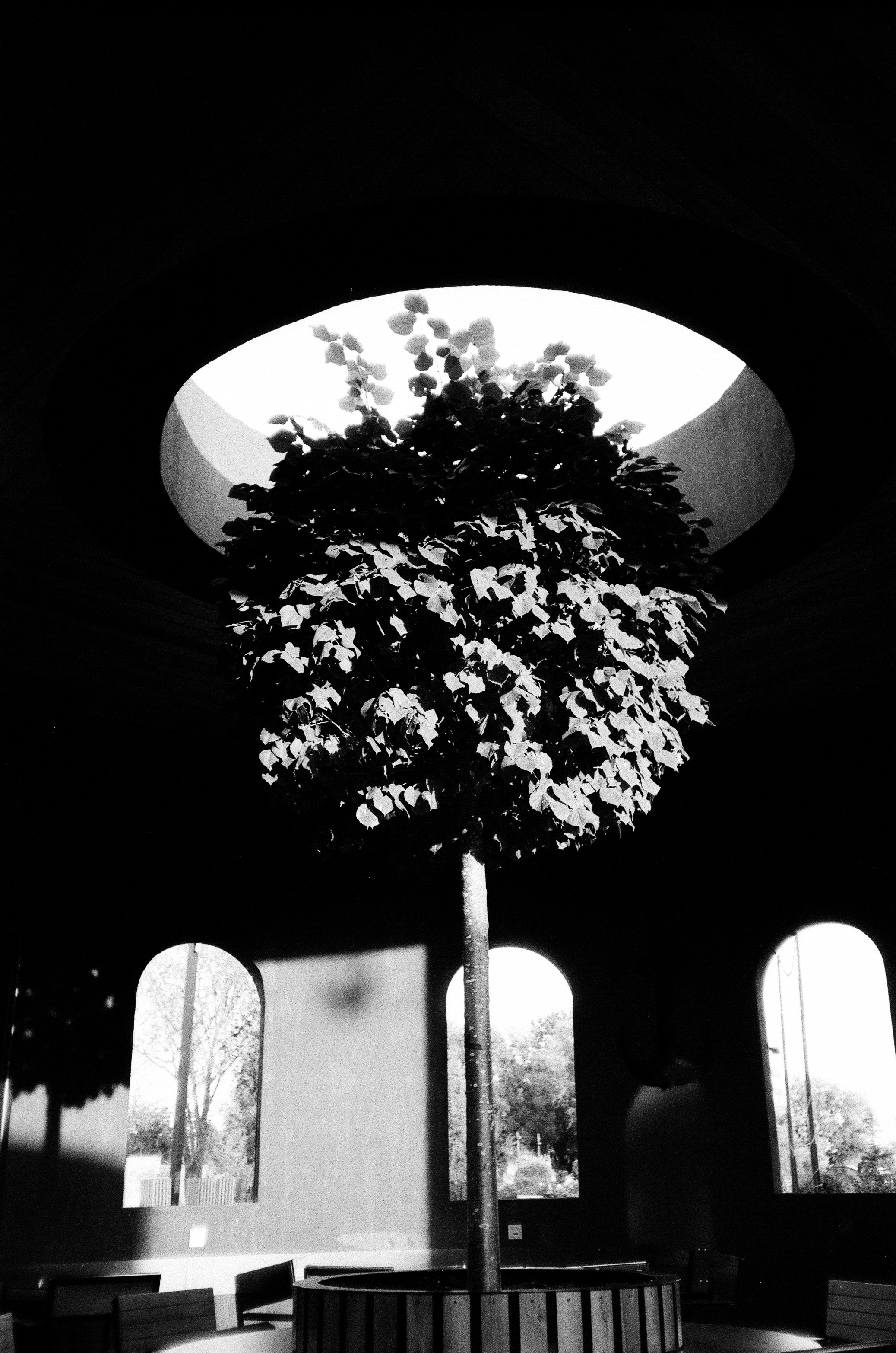 Пленка № 9. Фотограф Скворцова Дарья