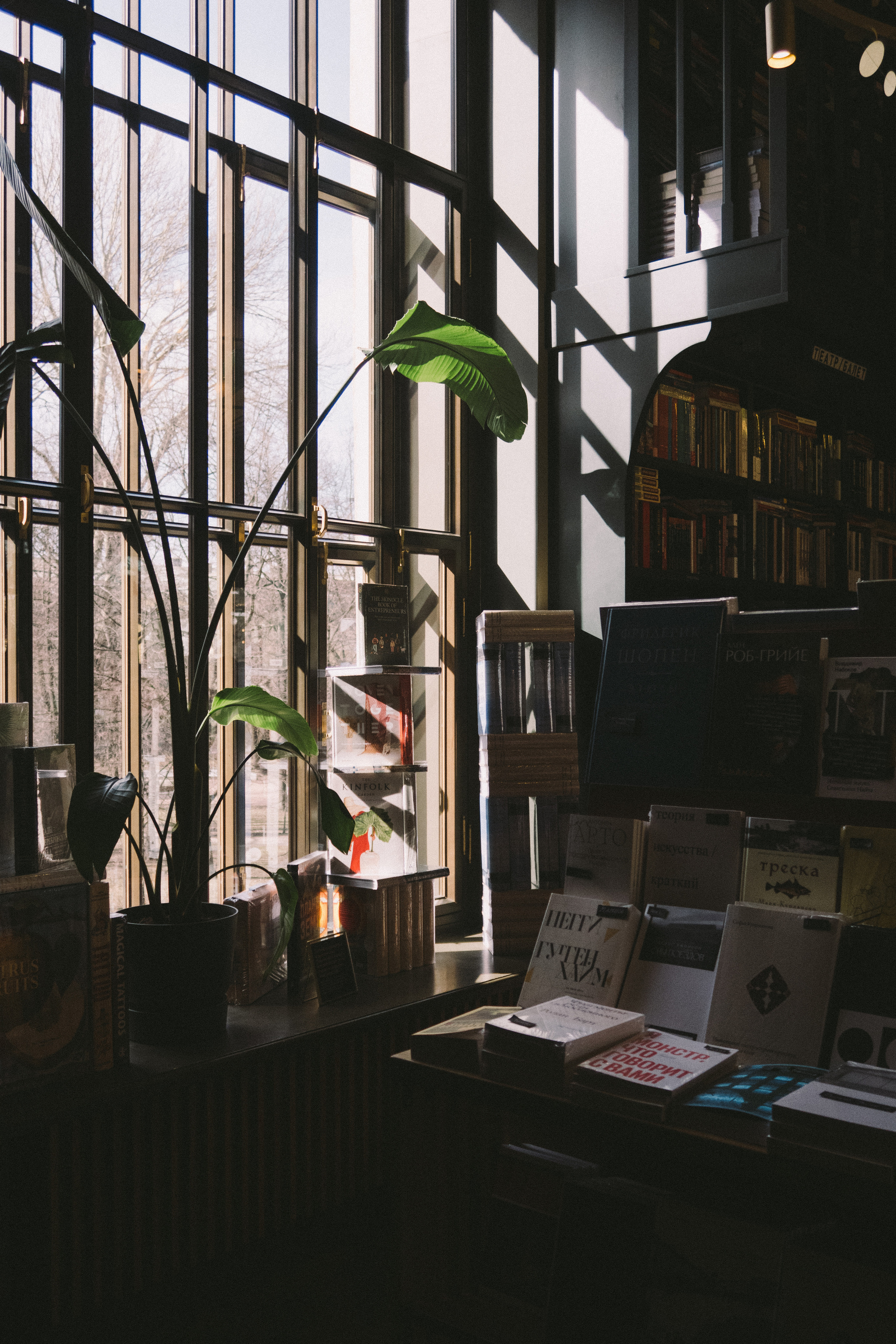 Санкт-Петербург, 18 апреля 2023. Фотограф Скворцова Дарья