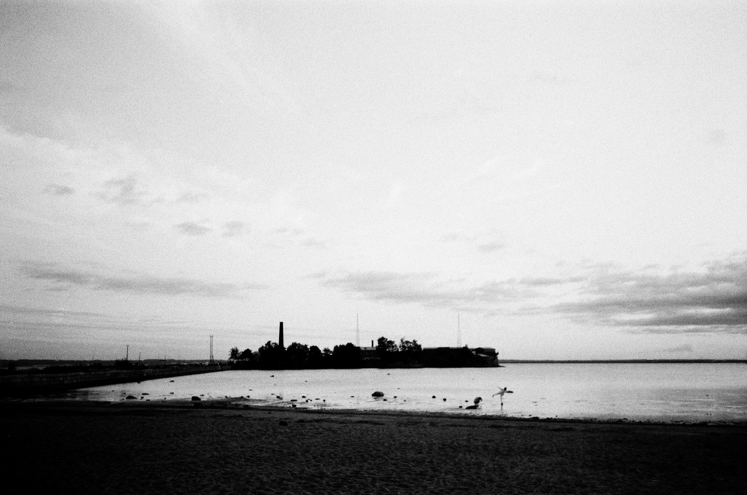 Пленка № 9. Фотограф Скворцова Дарья