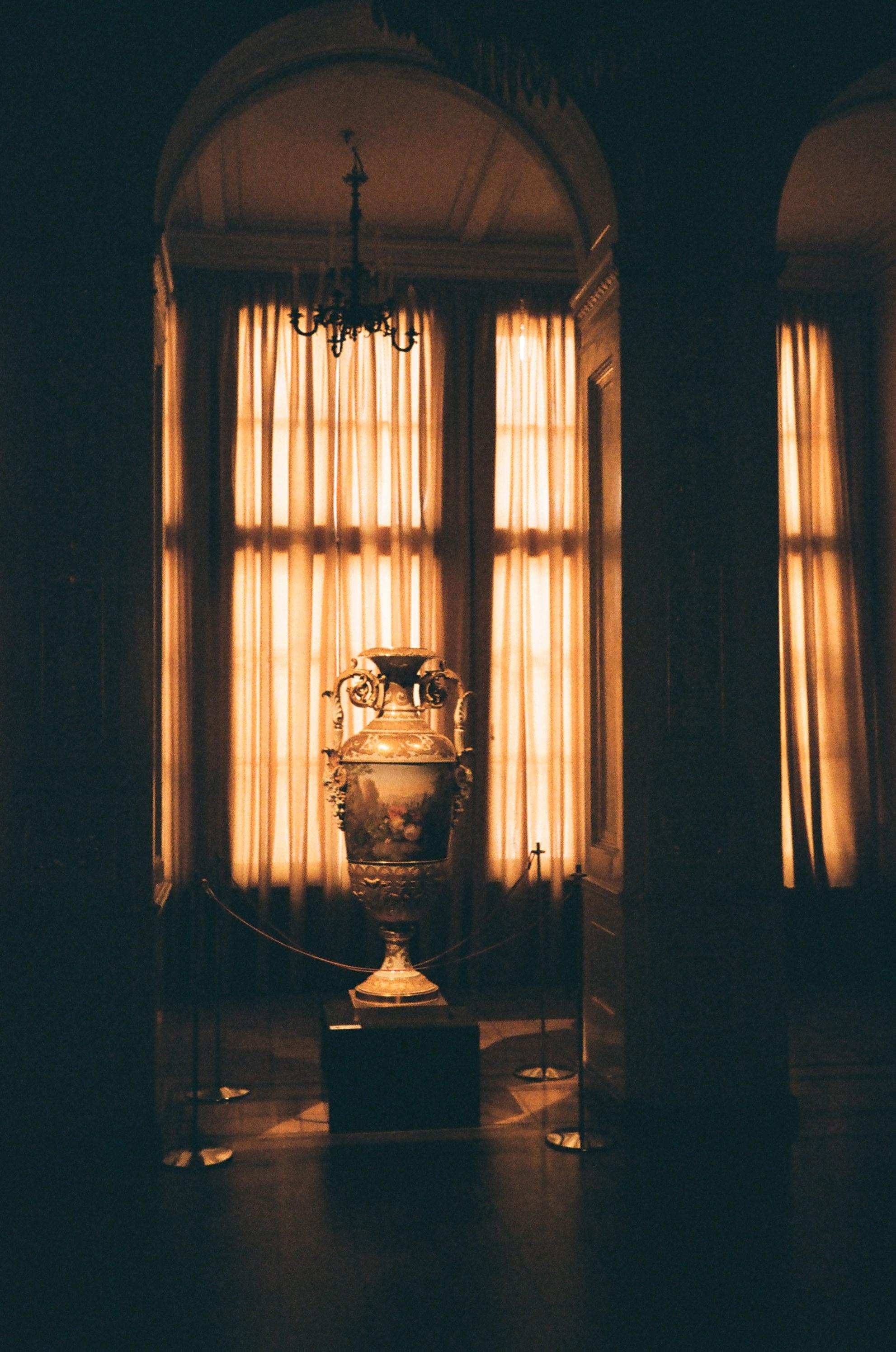 Пленка № 7. Фотограф Скворцова Дарья