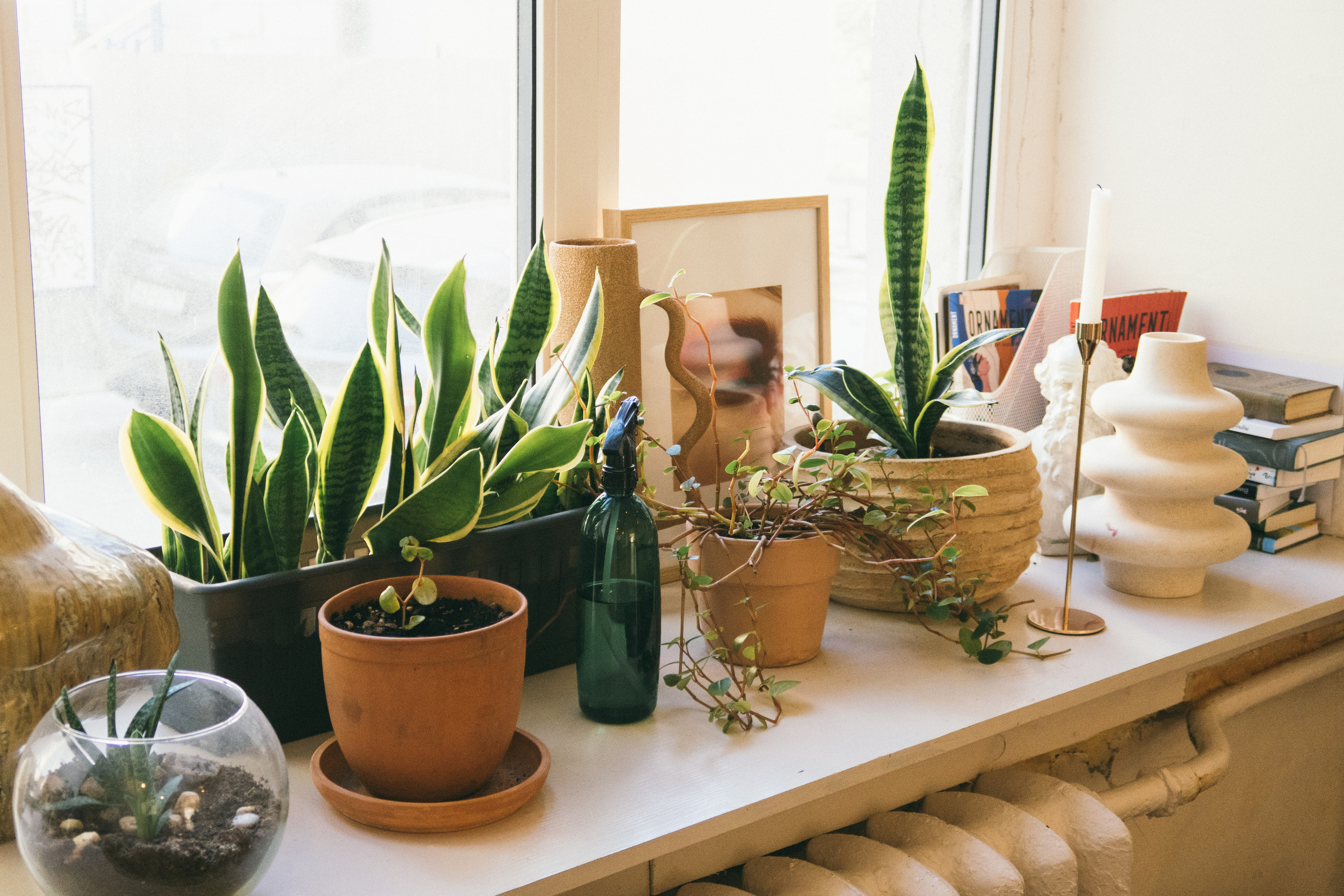 Санкт-Петербург, 10 мая 2023. Фотограф Скворцова Дарья