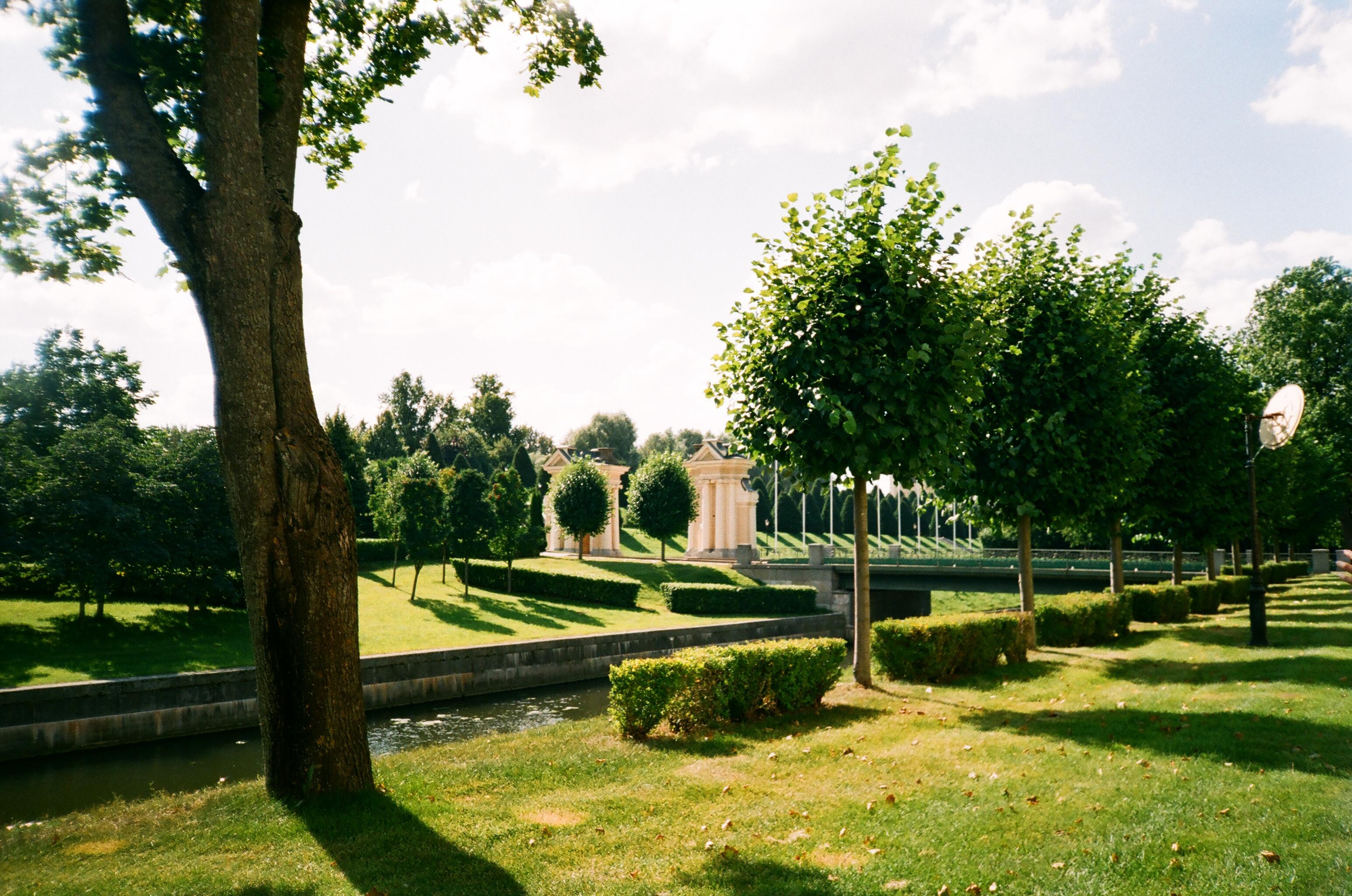 Пленка № 8. Фотограф Скворцова Дарья