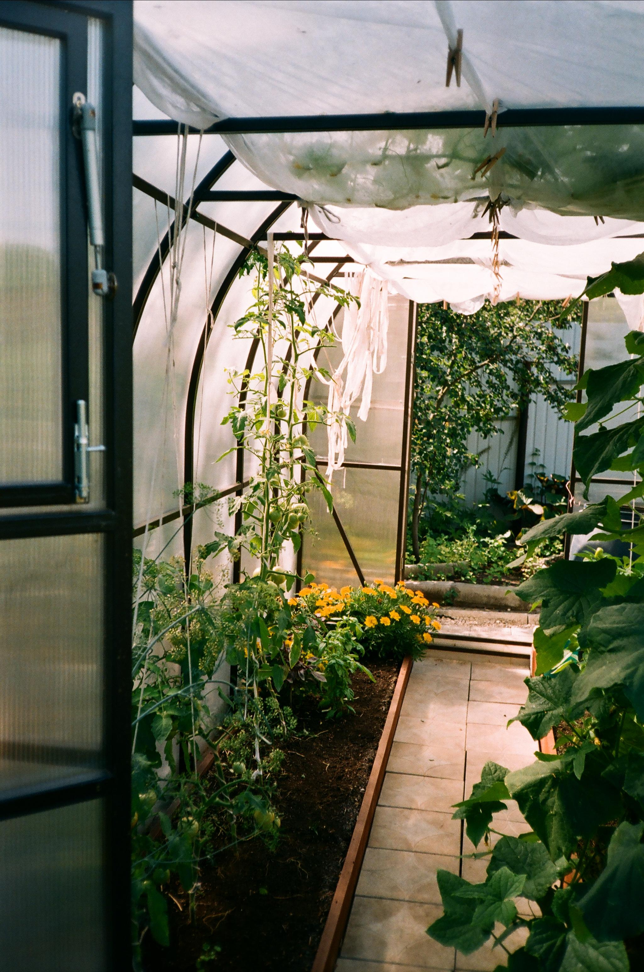 Пленка № 8. Фотограф Скворцова Дарья