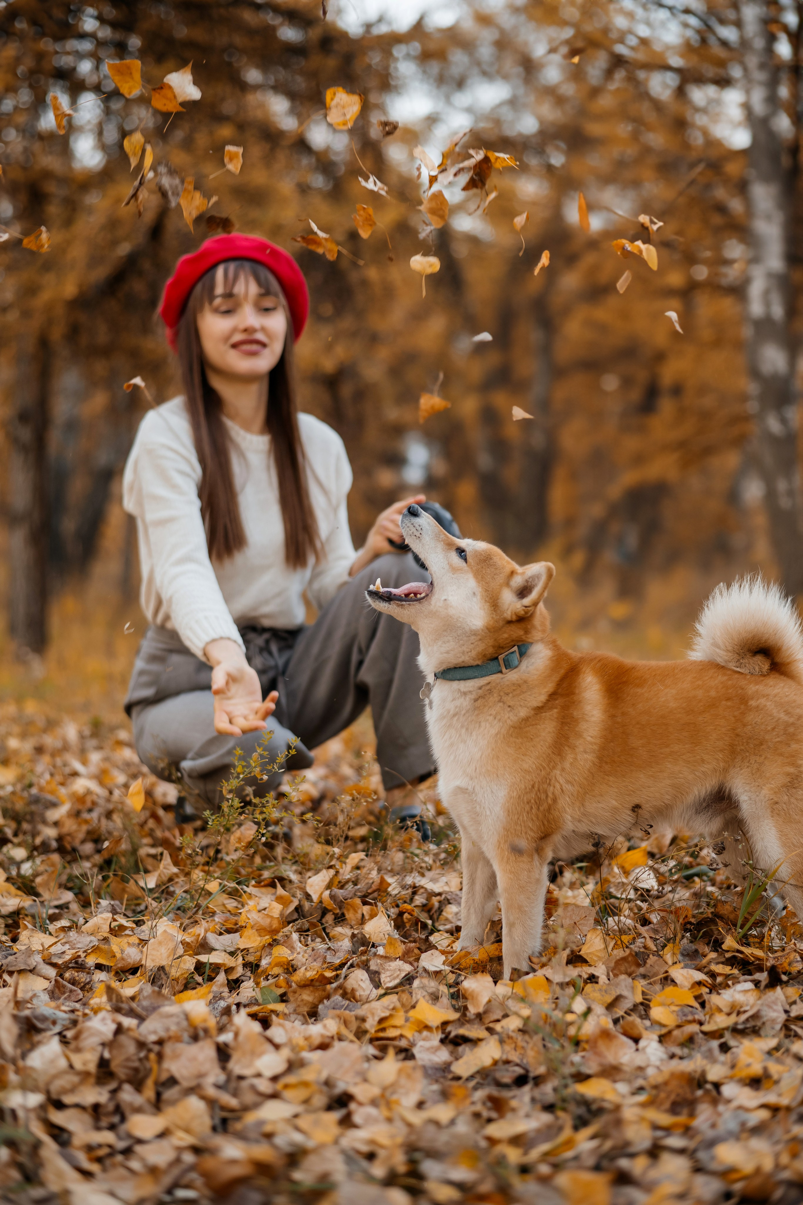 Алина и Бадди. Фотограф в Красноярске