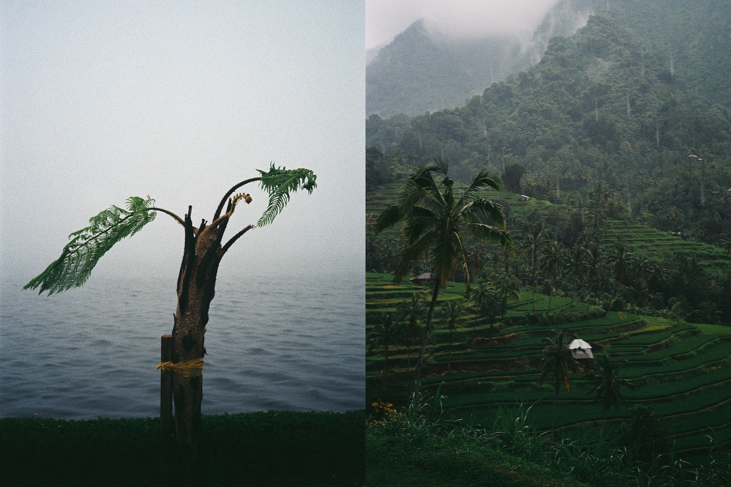 Indonesia. Olya Filina | Moscow Photographer