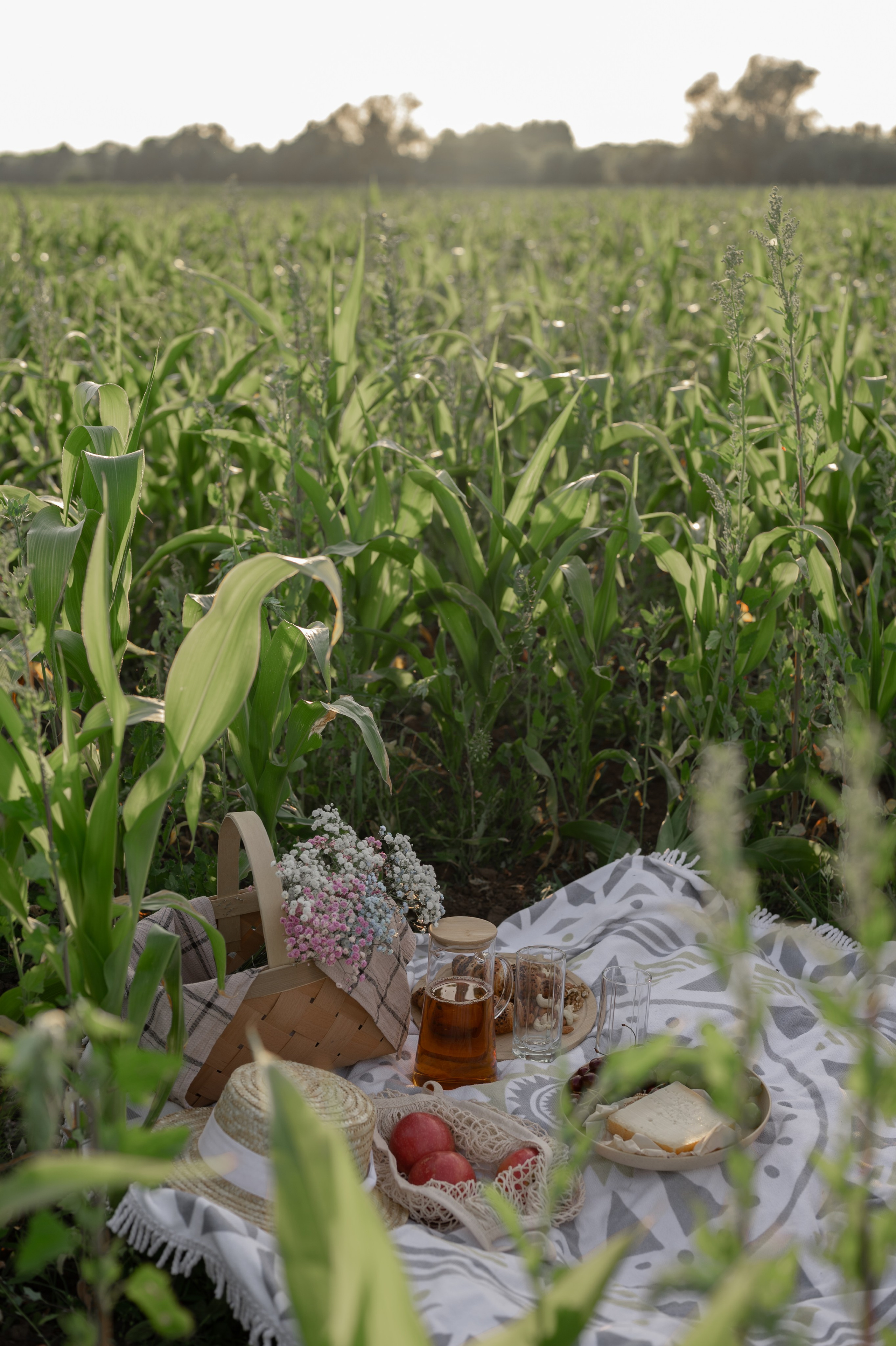 Семейная фотосессия. Свадебный фотограф Йошкар-Ола Казань